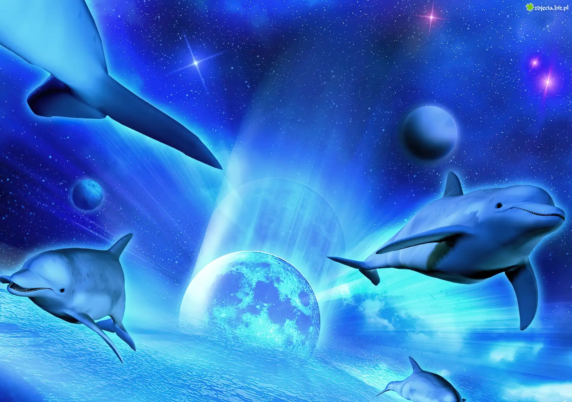 Delfiny, Planeta, Fantasy