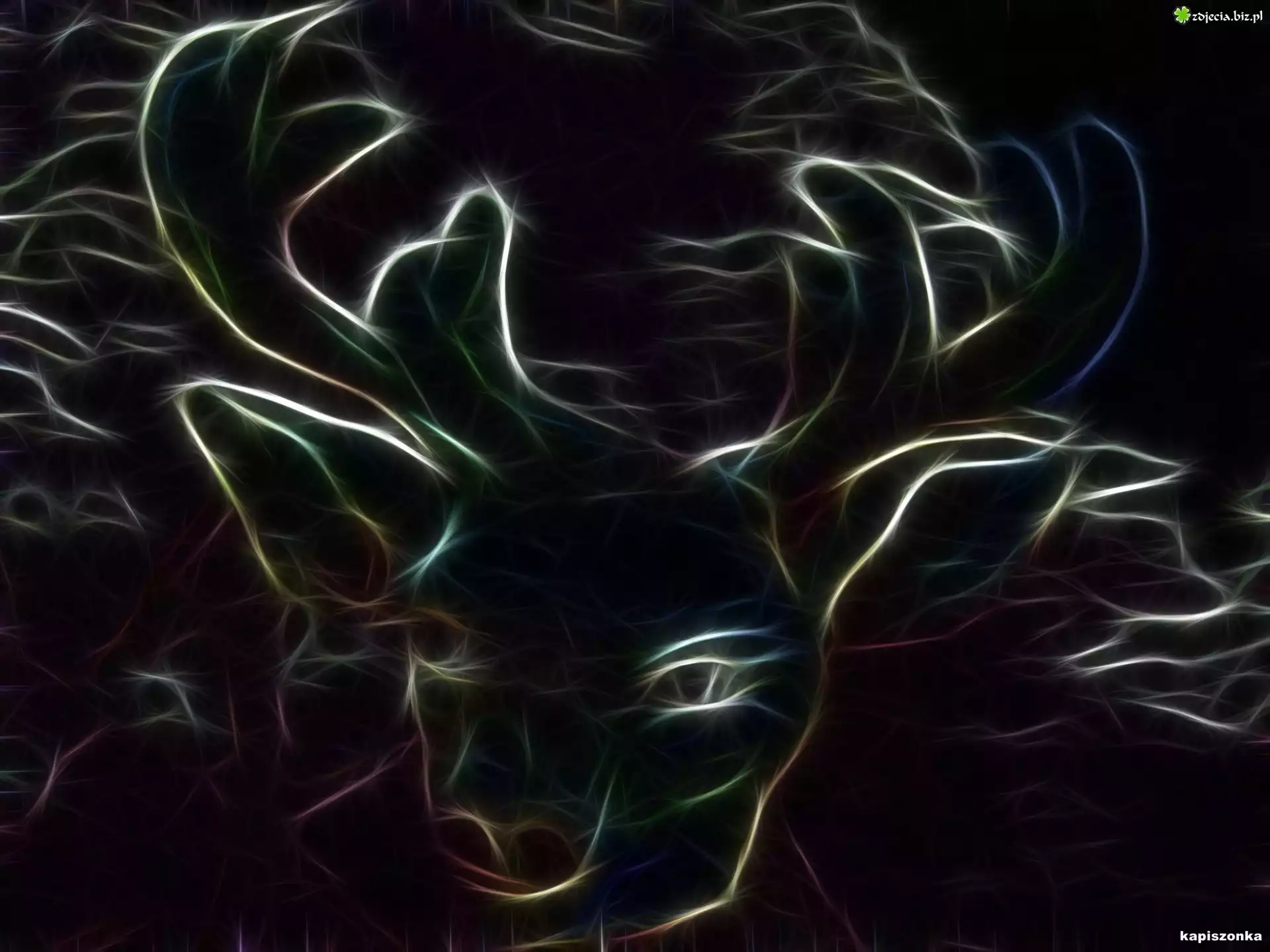 Jeleń, Poroże, Fractalius
