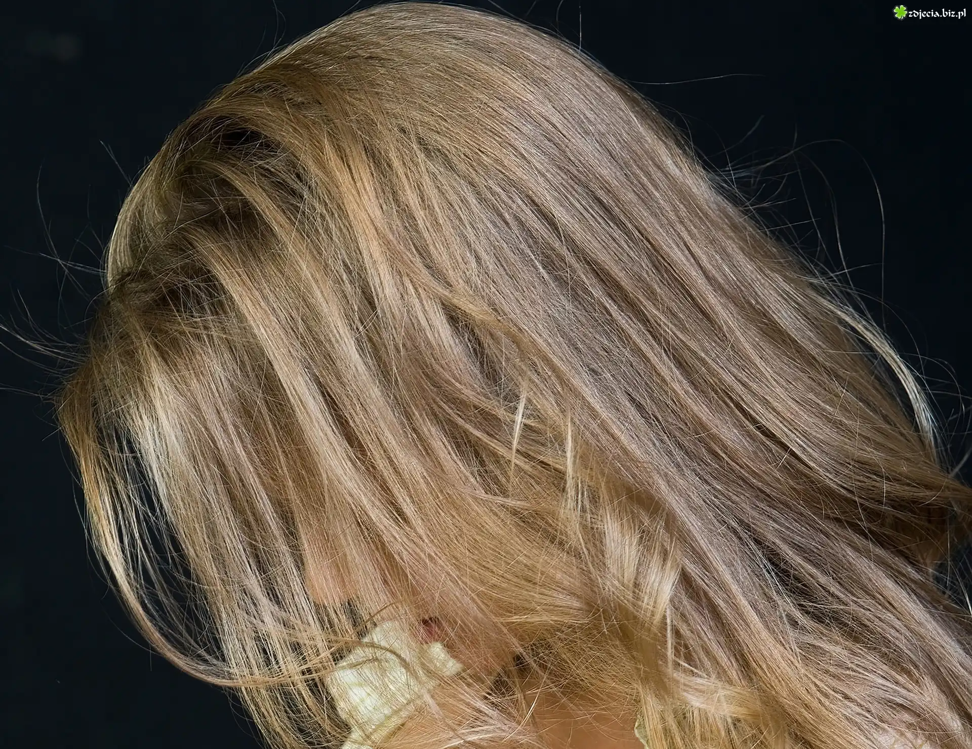 Blondynka, Portret, Profil
