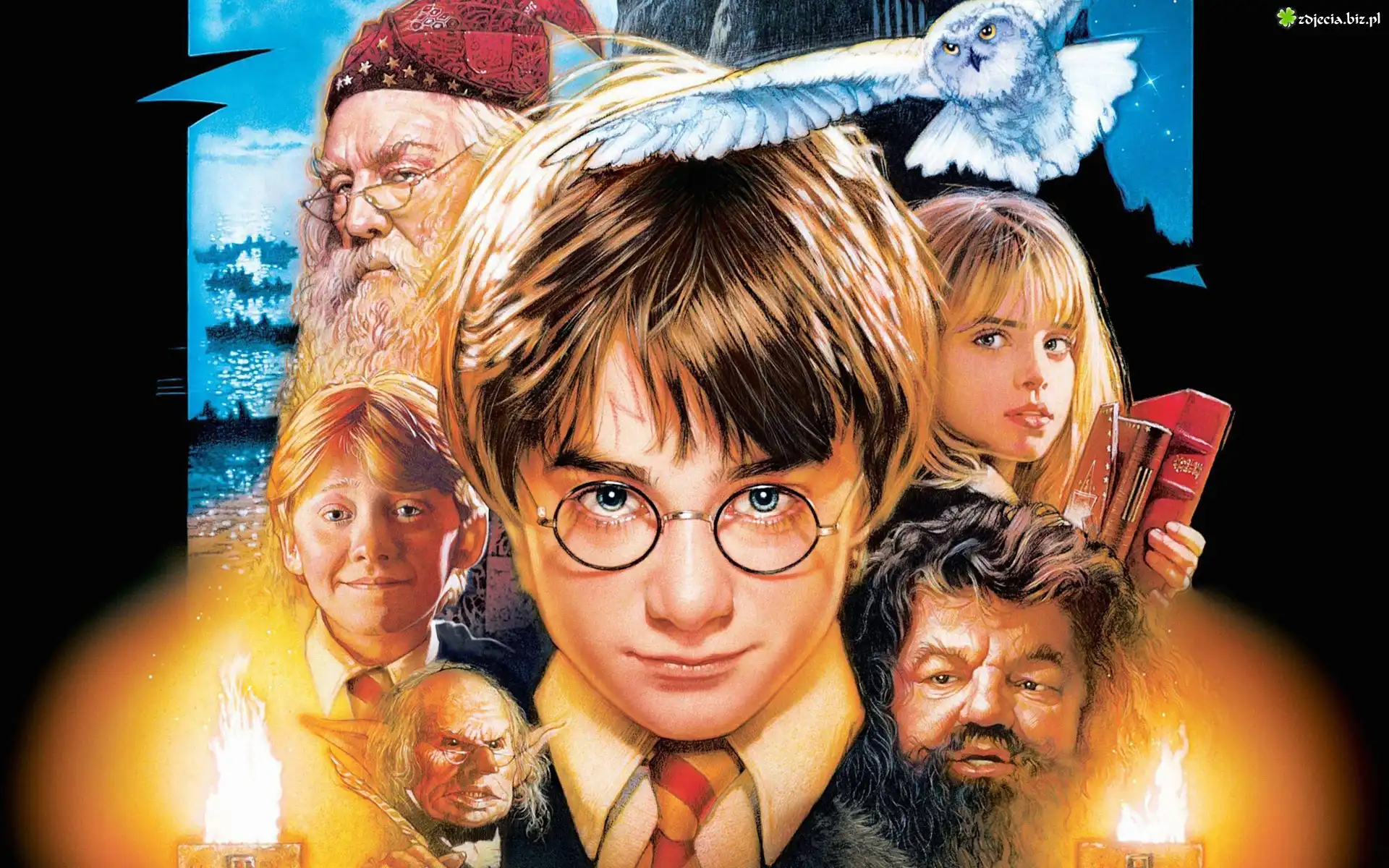 Harry, Potter, Bohaterowie