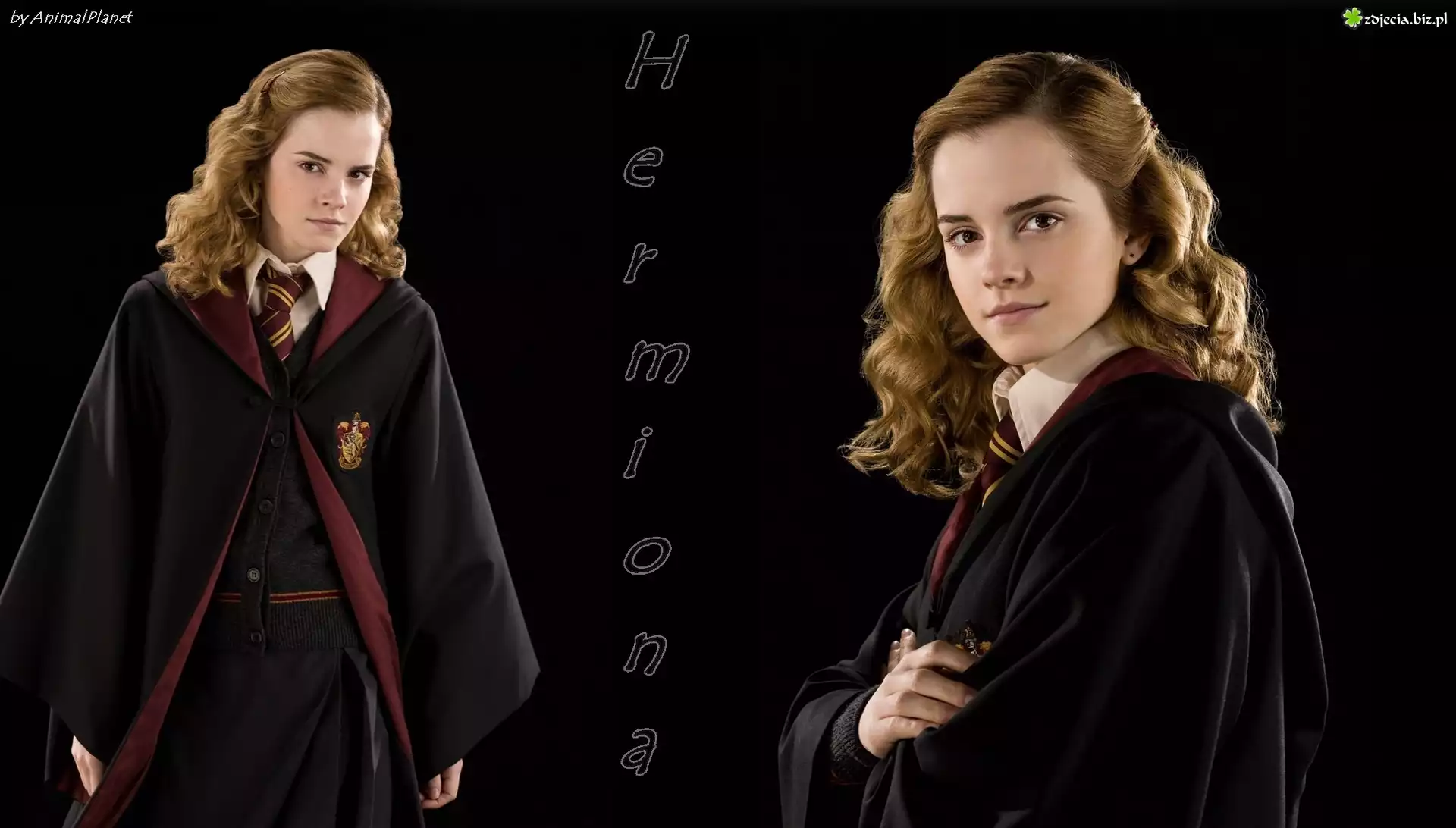 Harry, Potter, Hermiona, Aktorka, Kobieta, Emma, Watson