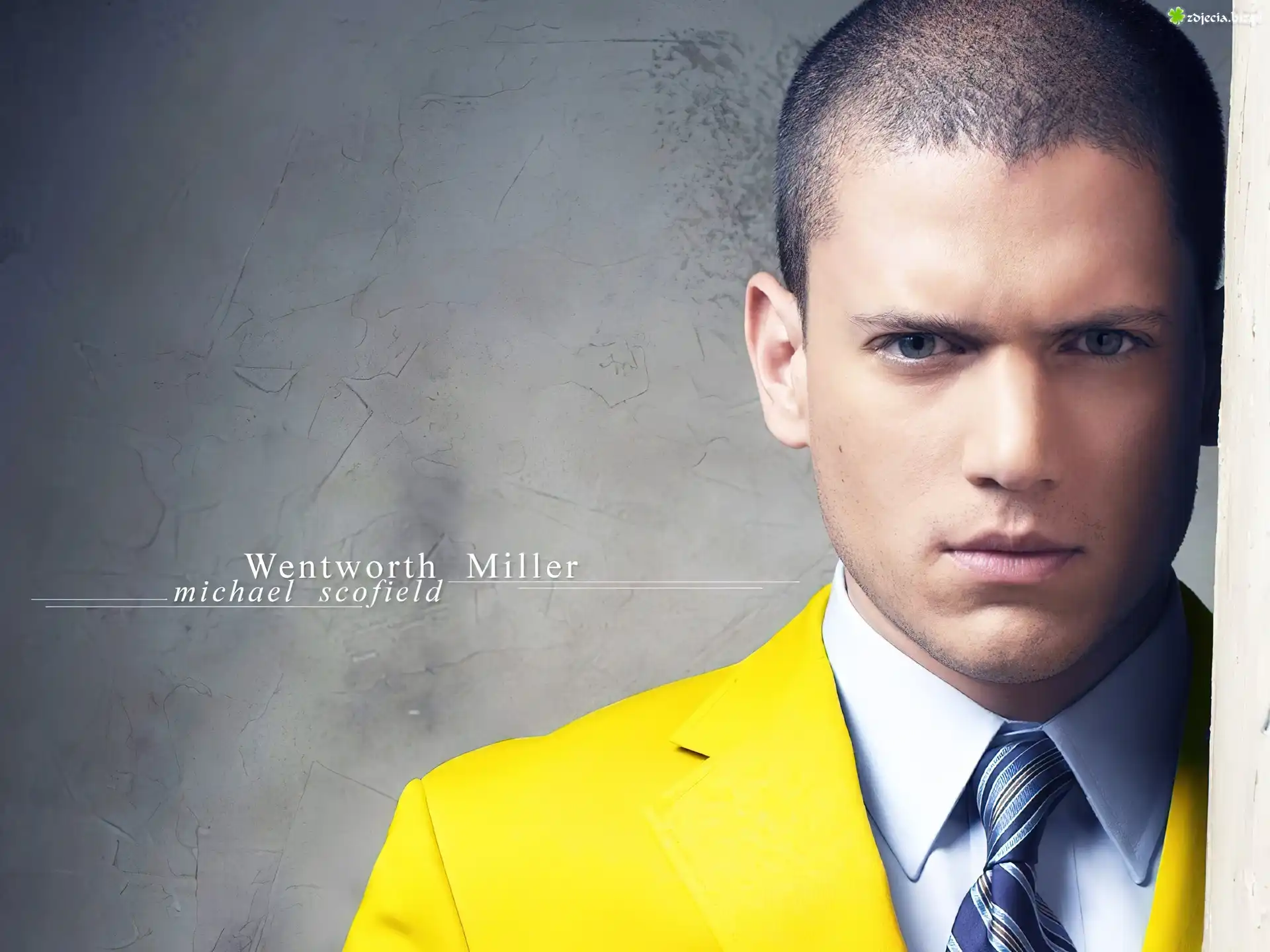Prison Break, Skazany na śmierć, Wentworth Miller, żółta, marynarka