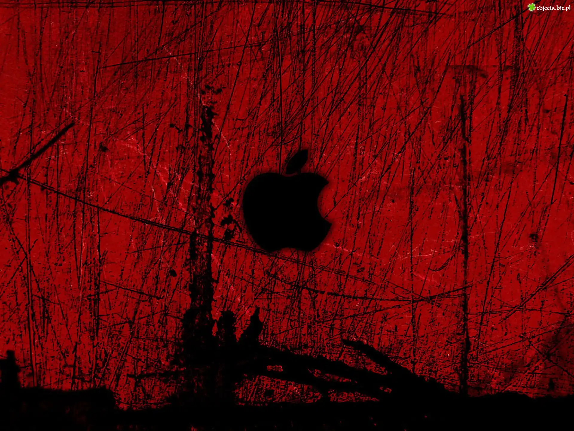 Apple, Producenta, iPodów