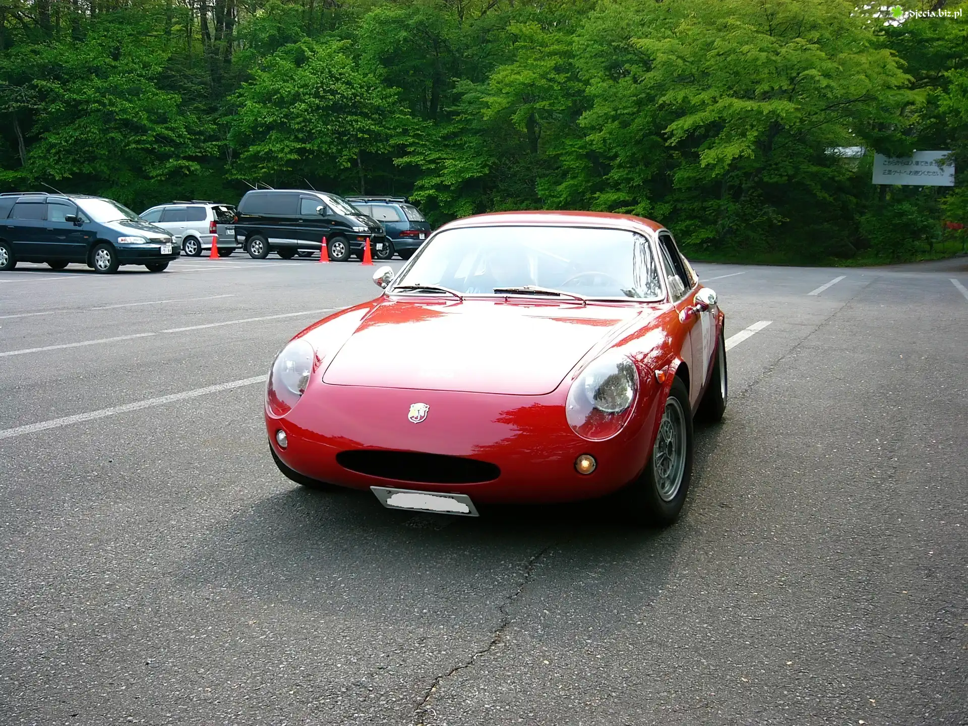 Przód, Abarth 1000 Mono, Wlot, Las