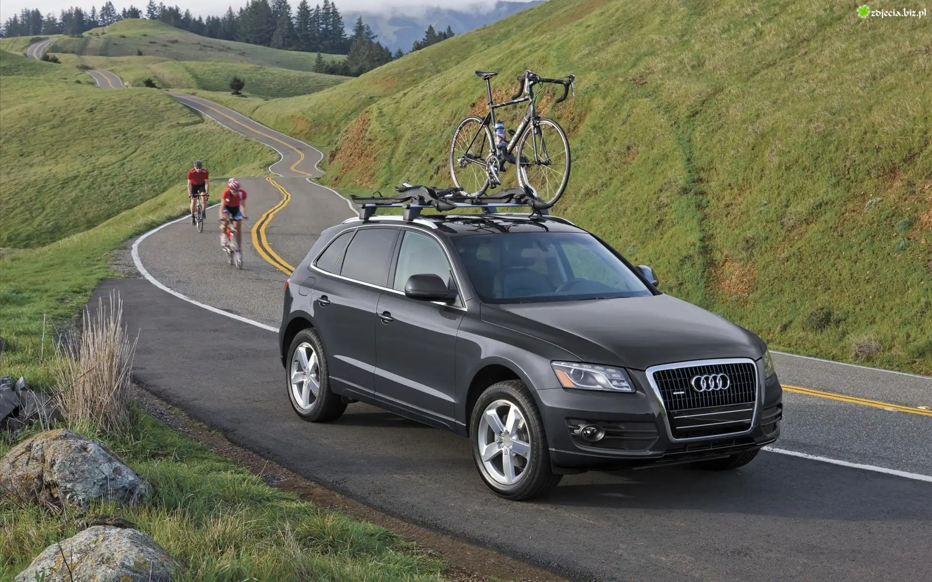 Audi Q5, Rowery