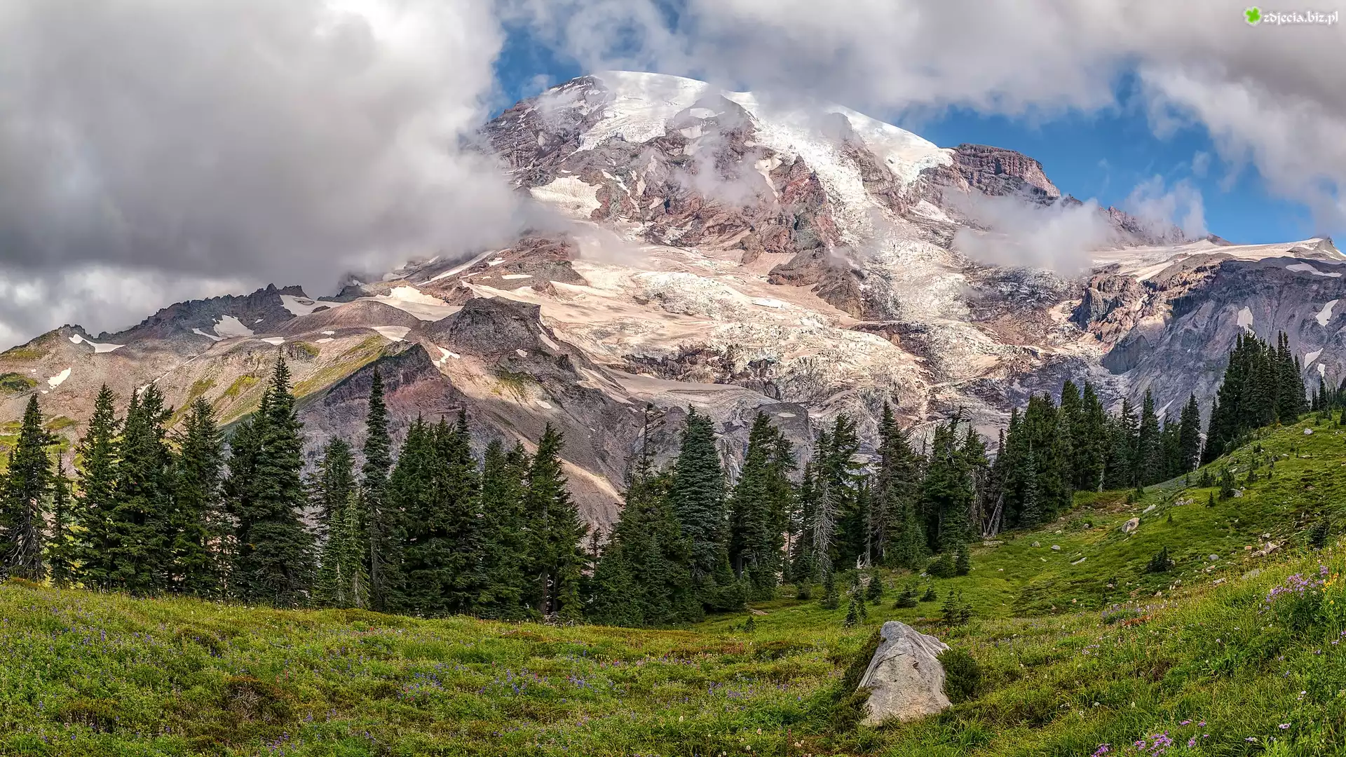 Park Narodowy Mount Rainier, Góra, Szczyt, Mount Rainier, Stan Waszyngton, Stany Zjednoczone, Drzewa