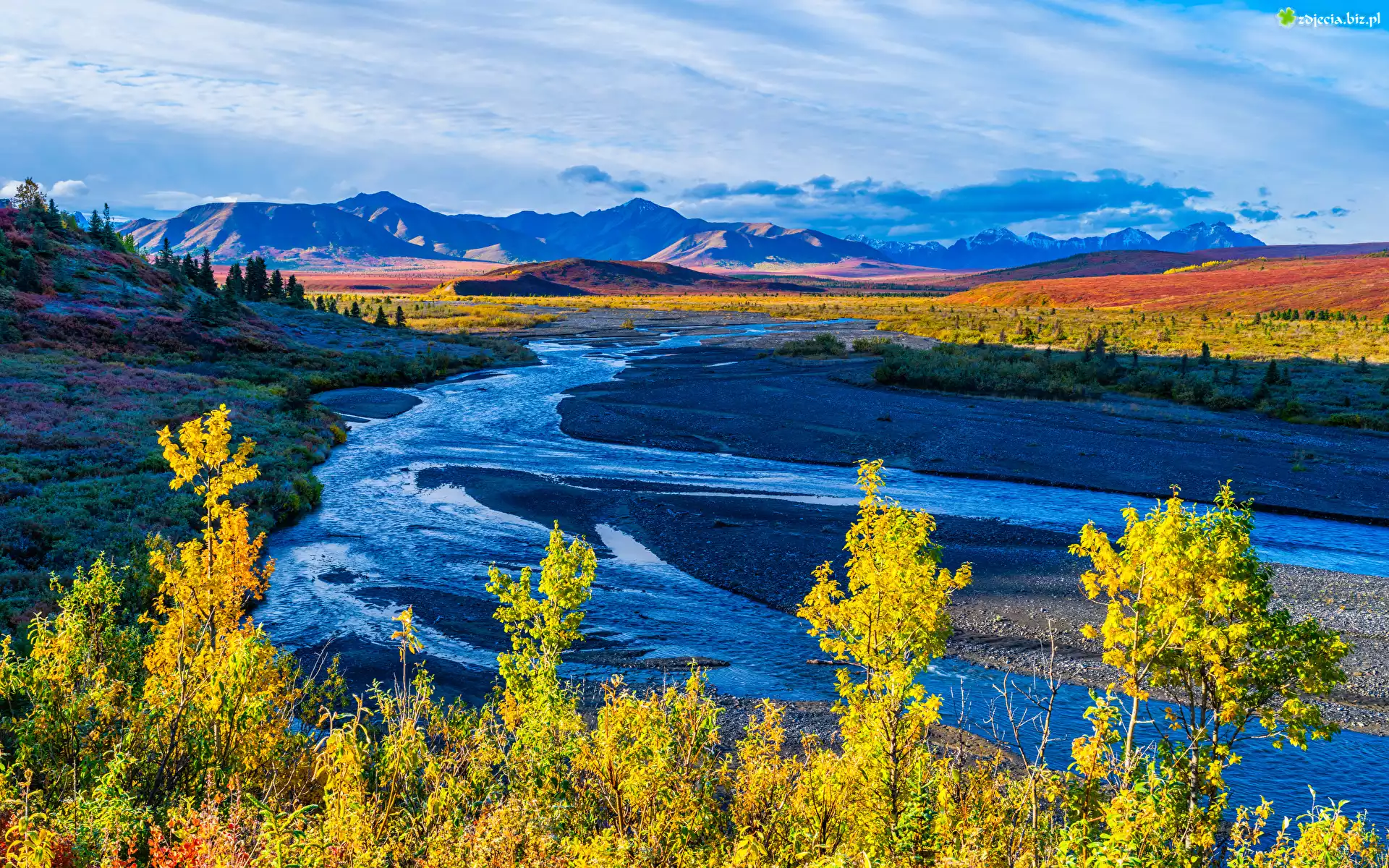 Park Narodowy Denali, Góry, Rzeka, Savage River, Drzewa, Roślinność, Jesień, Niebo, Alaska, Stany Zjednoczone