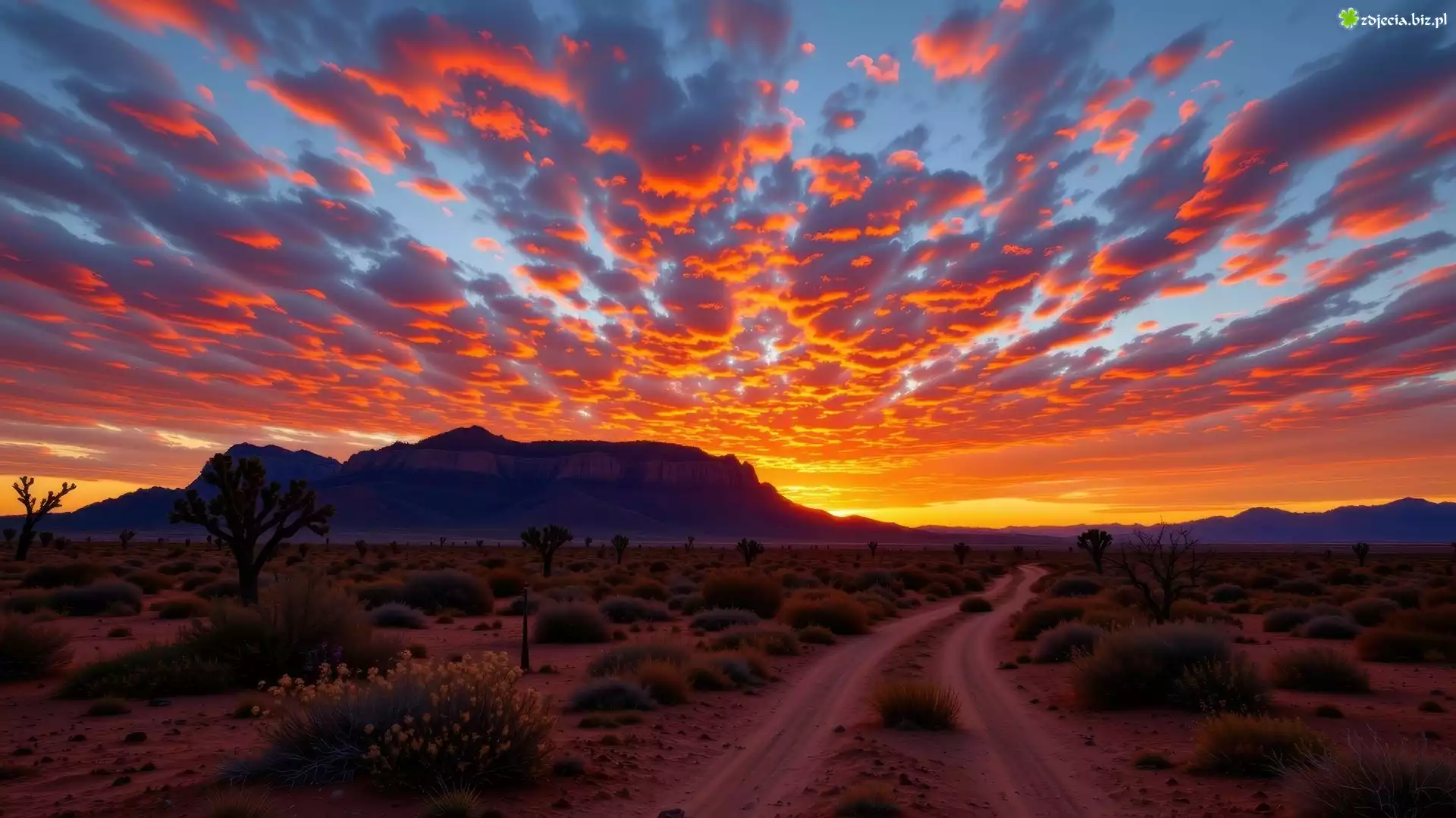 Zachód słońca, Kolorowe, Niebo, Chmury, Góry, Droga, Rośliny