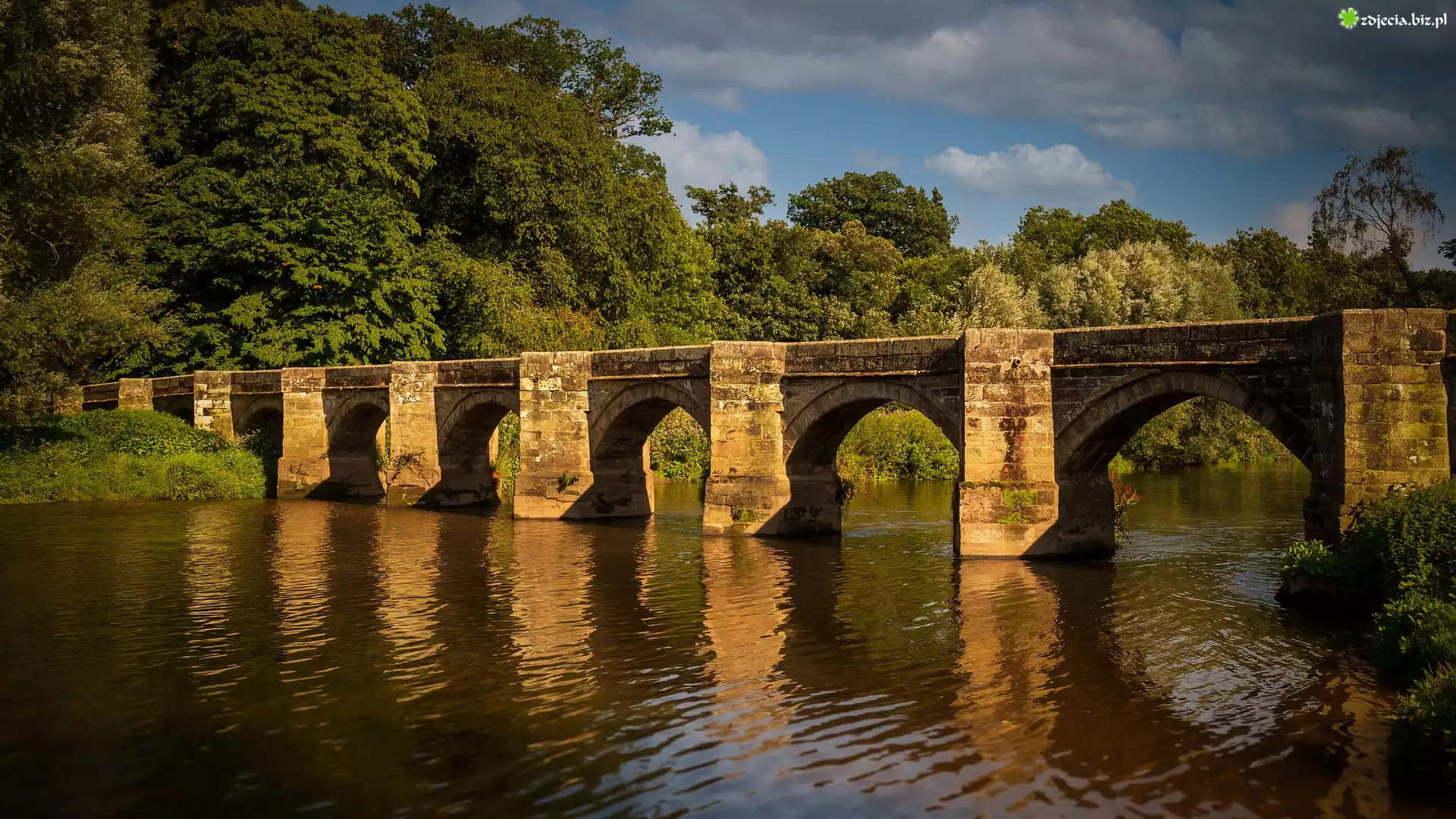 Most, Rzeka, Drzewa, Staffordshire, Anglia