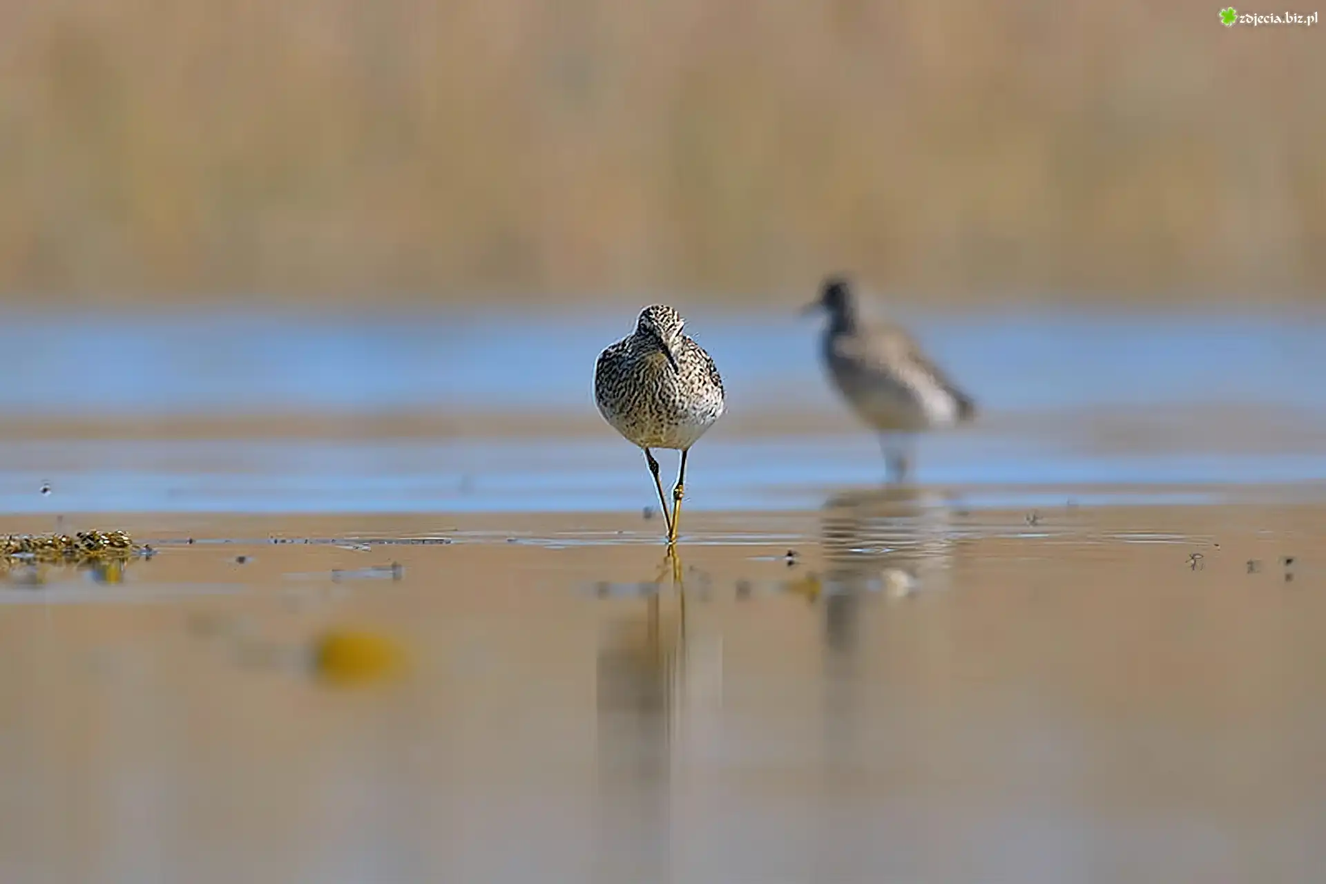 Łęczak, Rzeka, Plaża