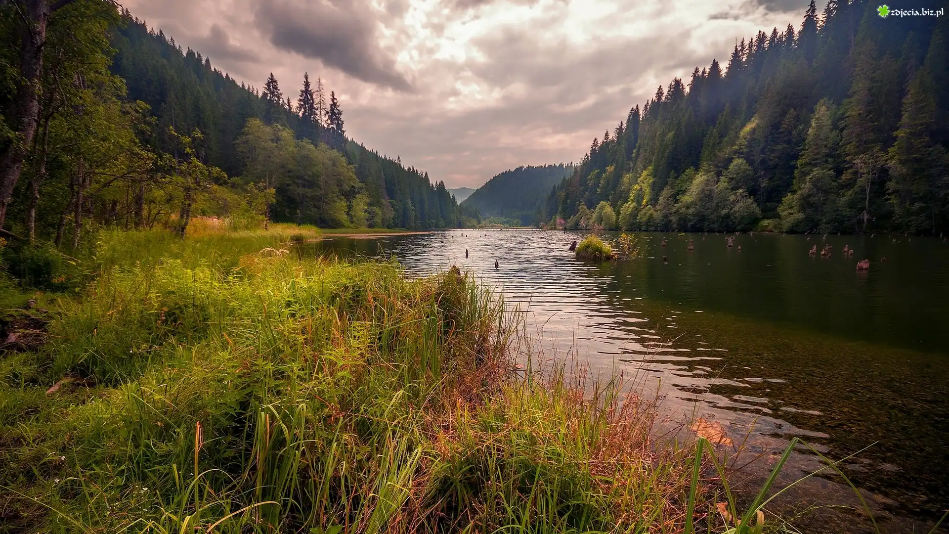 Rzeka, Góry, Lasy, Wzgórza