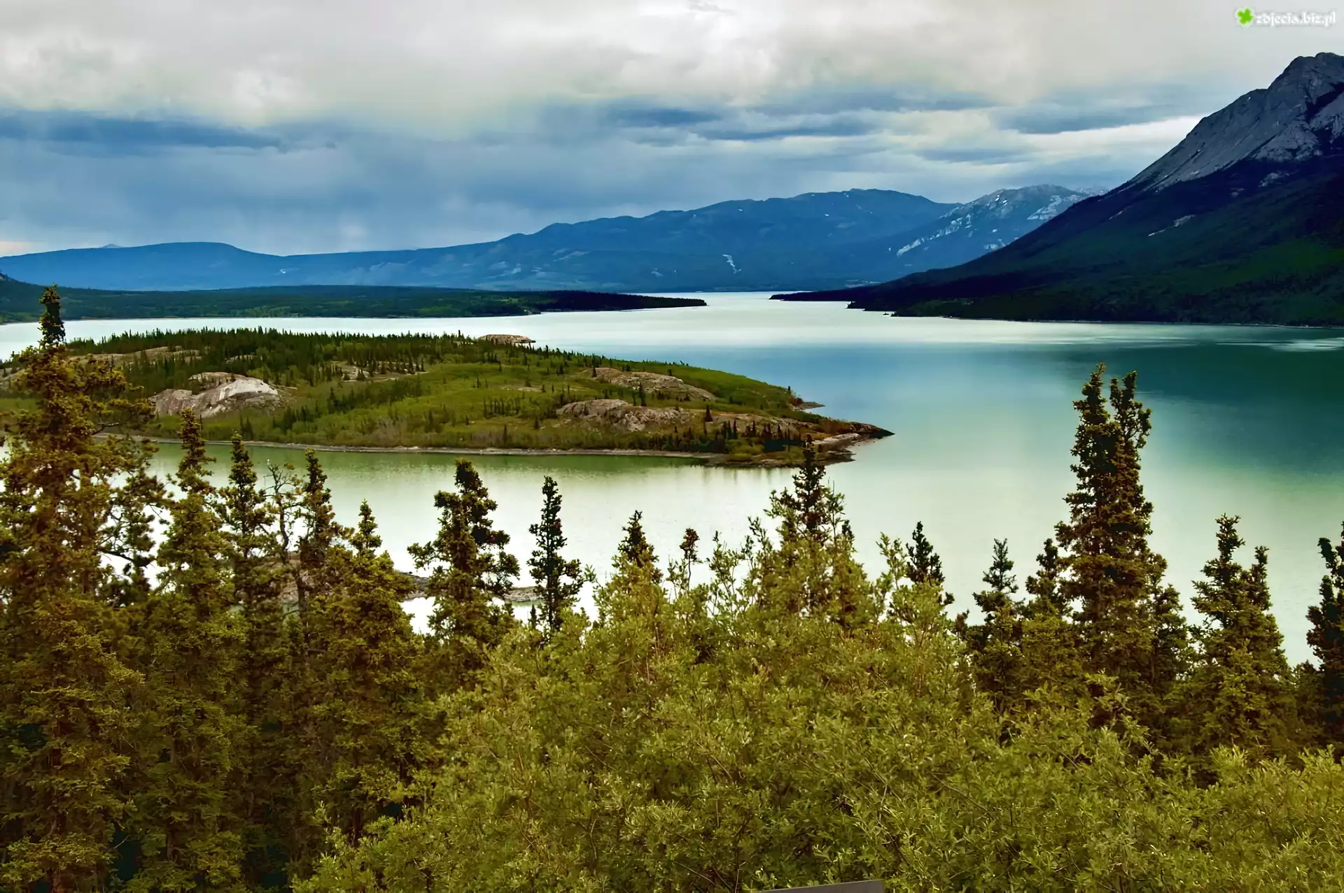Rzeka, Drzewa, Góry, Yukon, Kanada