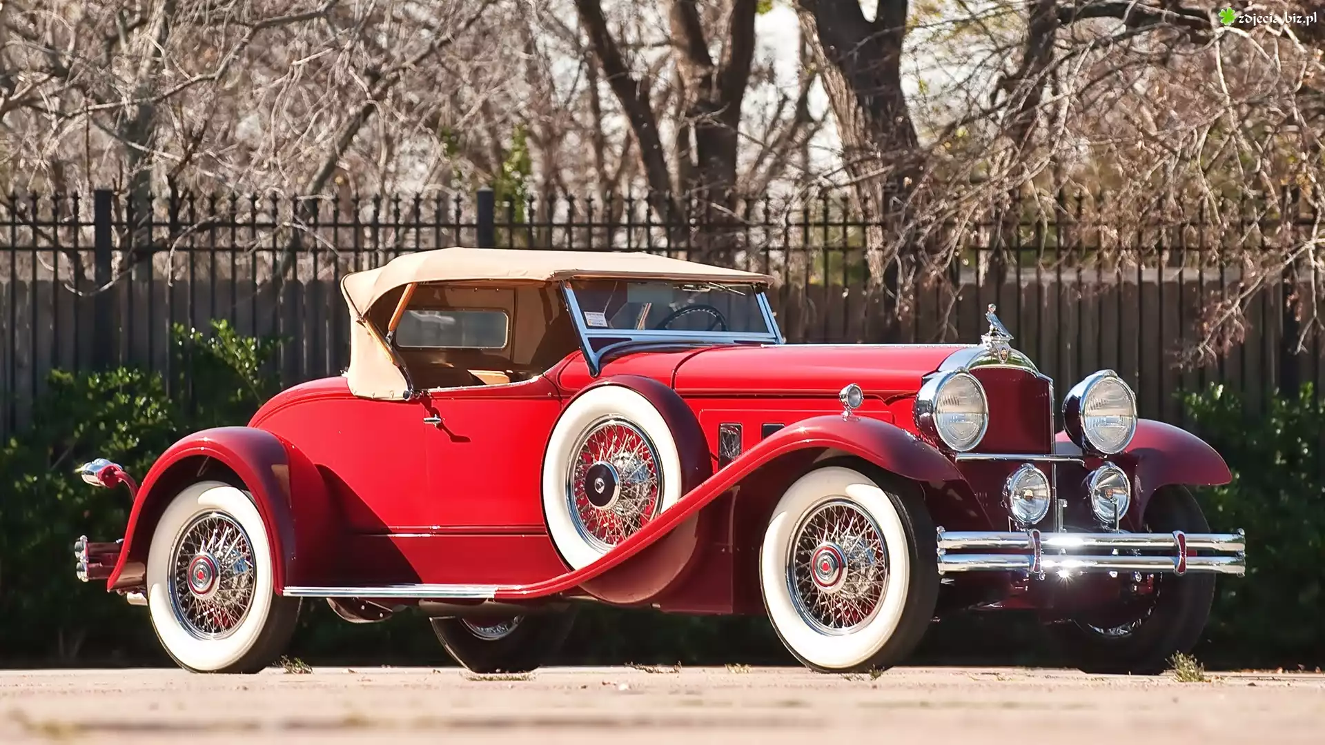 Samochód, Zabytkowy, Packard, Deluxe, 1940
