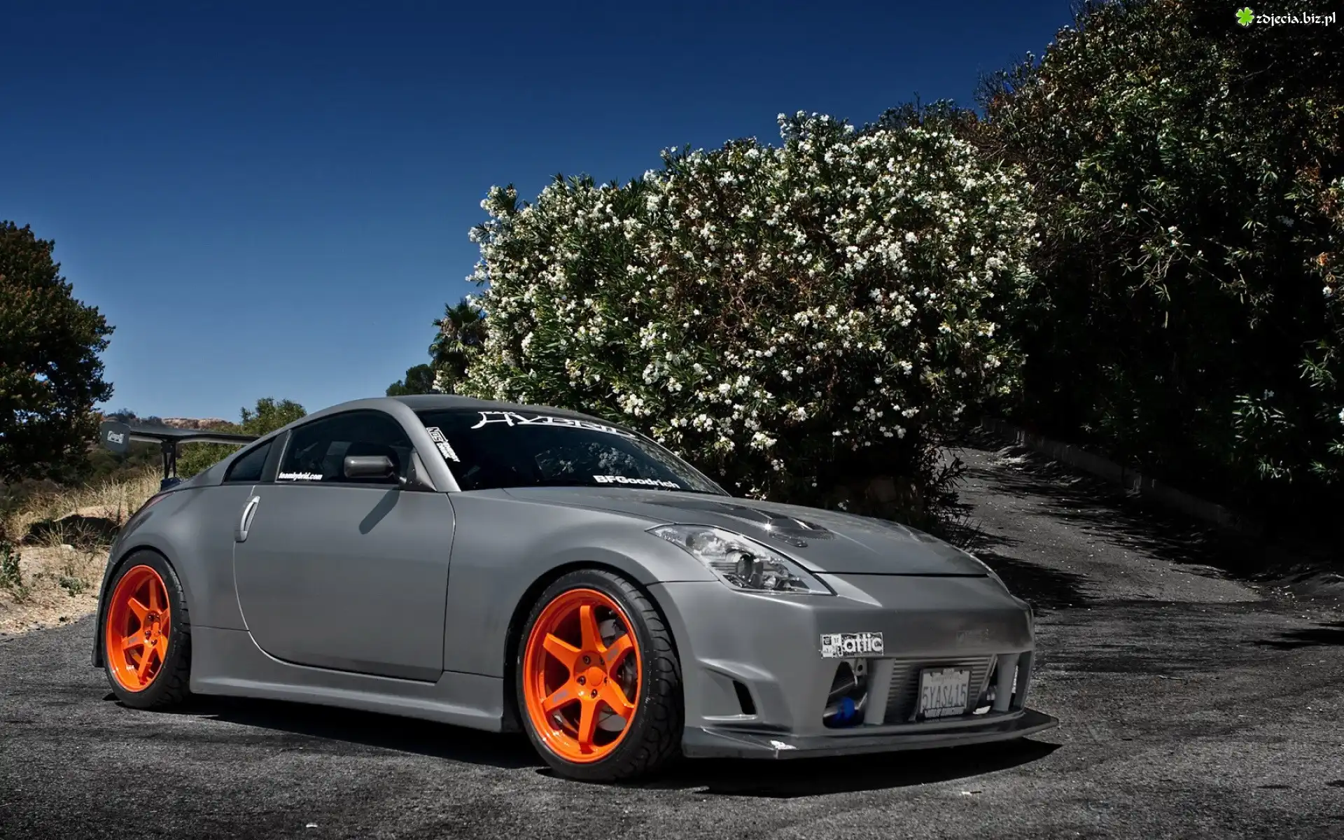 Samochód, Nissan, 350Z, Kwitnące, Drzewa