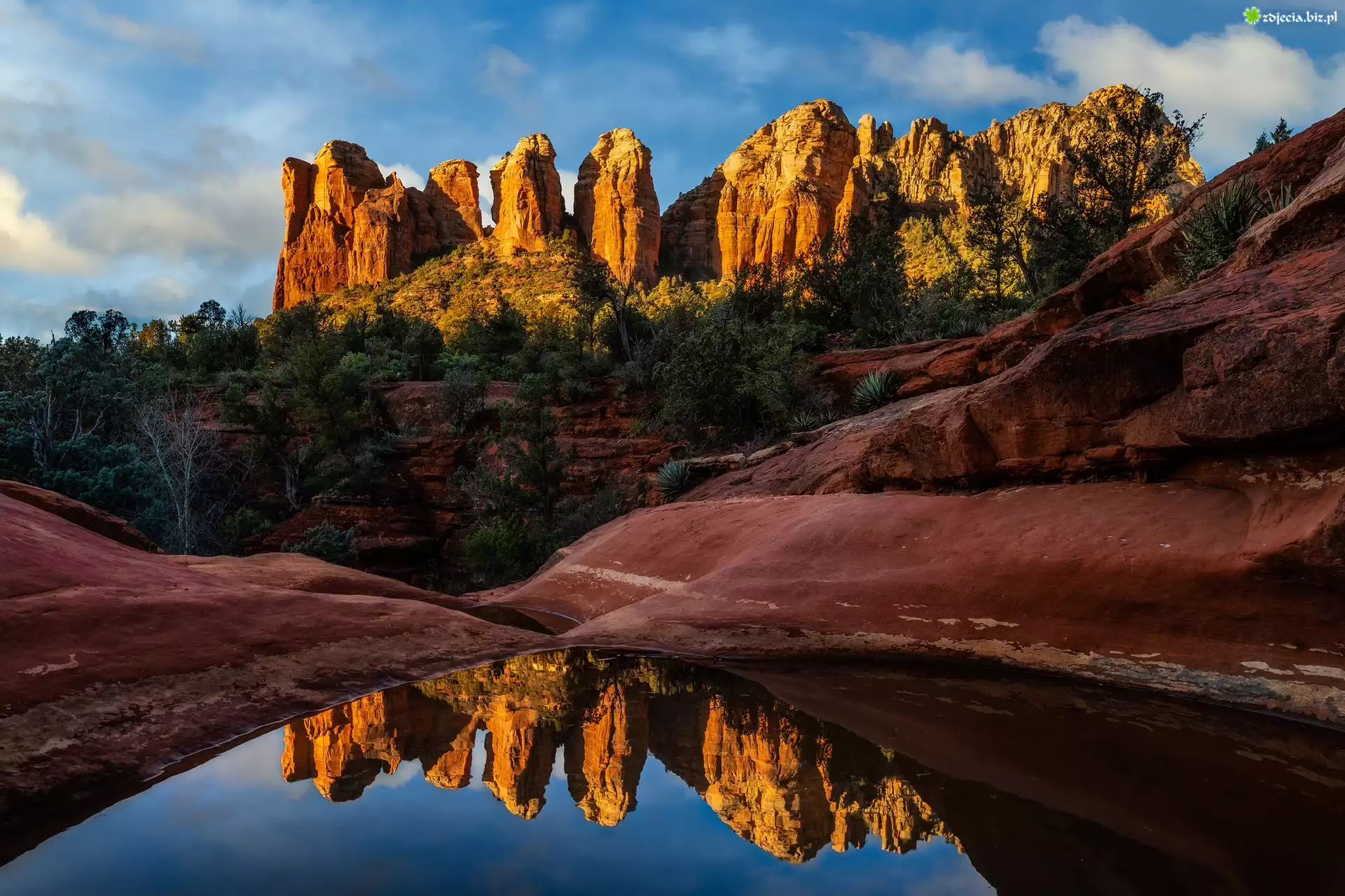 Stany Zjednoczone, Arizona, Sedona, Czerwone Skały, Drzewa, Siedem Świętych Basenów, Seven Sacred Pools, Woda, Odbicie