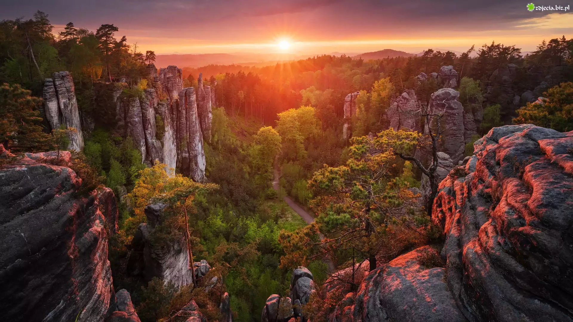 Skały, Zachód słońca, Drzewa, Góry