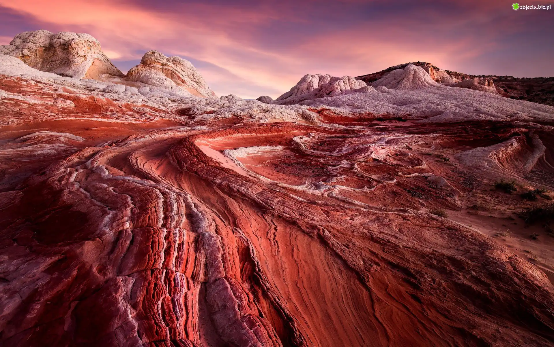 Skały, Formacje, White Pocket, Vermilion Cliffs National Monument, Pomnik narodowy, Arizona, Stany Zjednoczone