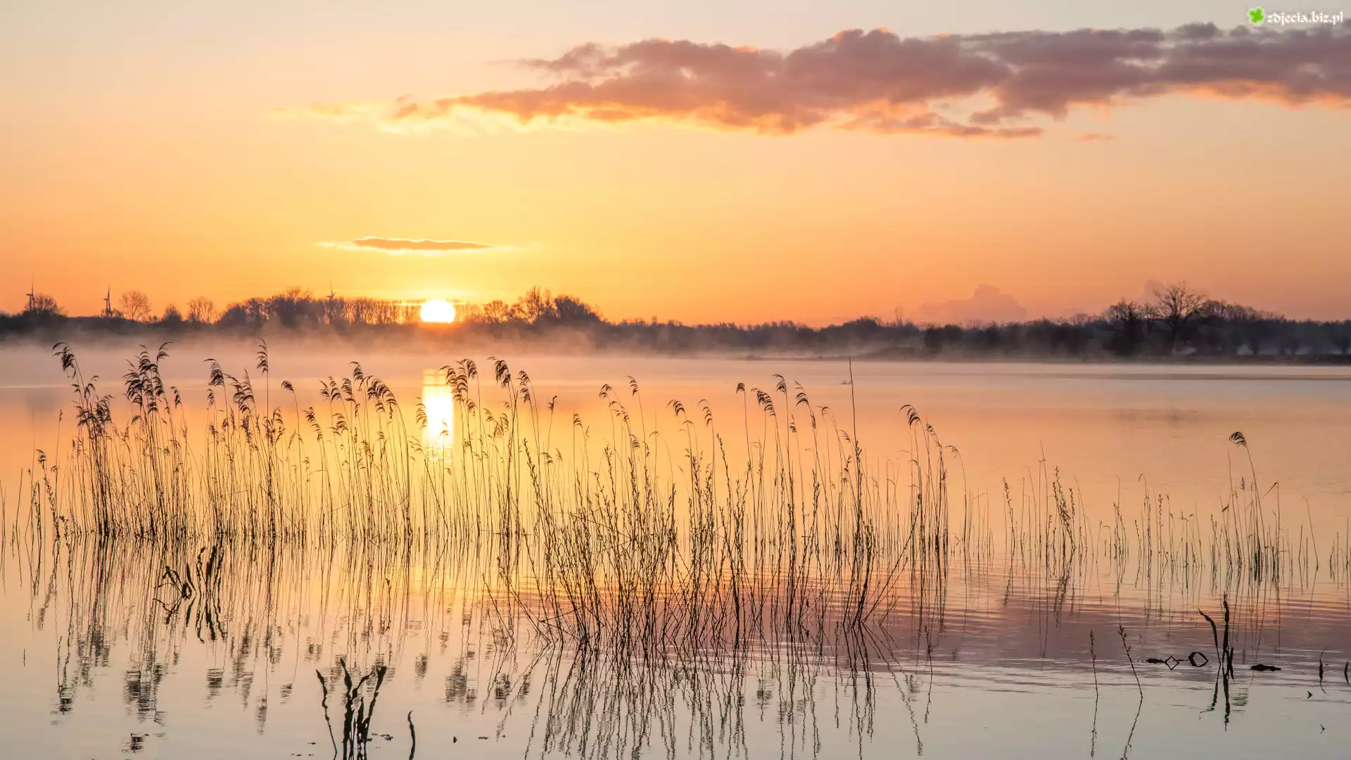 Jezioro, Trzciny, Wschód słońca