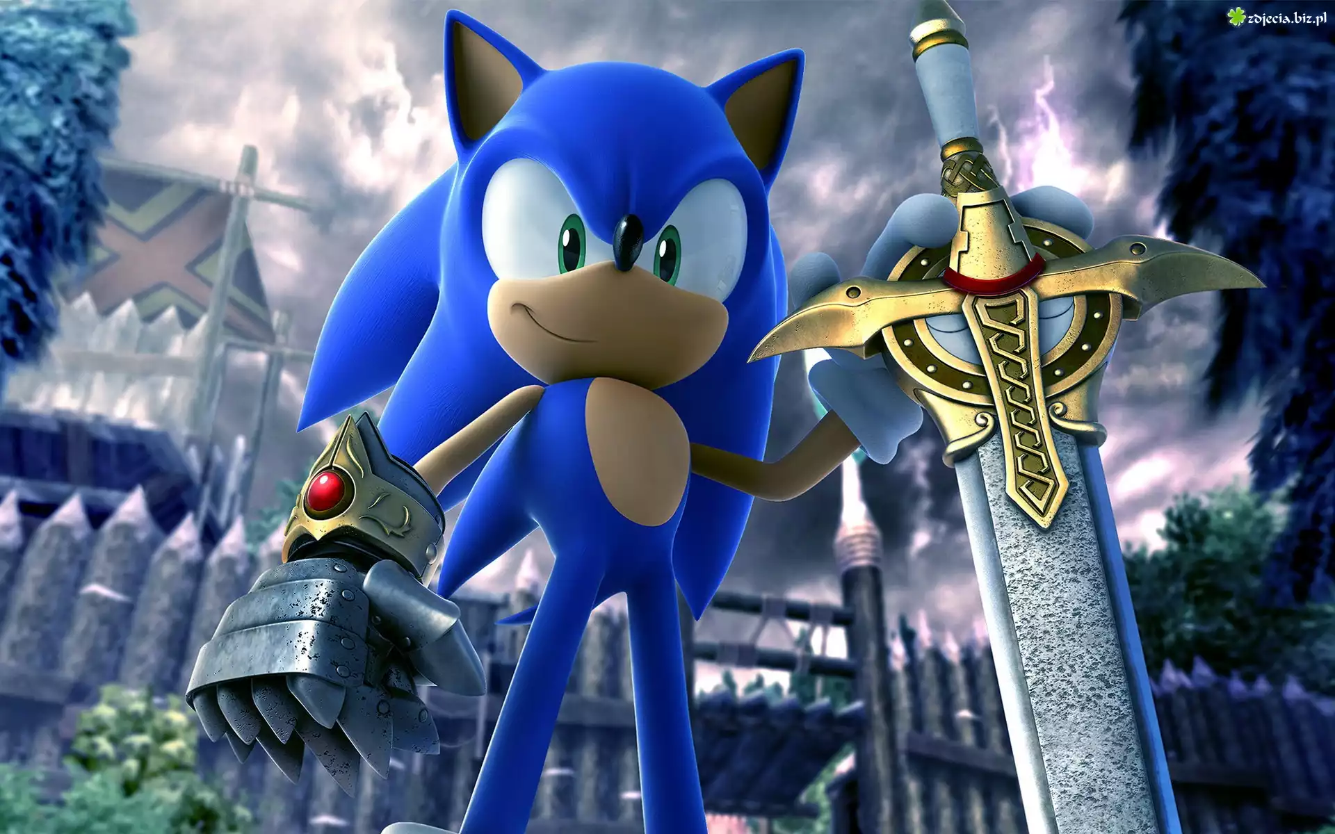 Sonic, Miecz