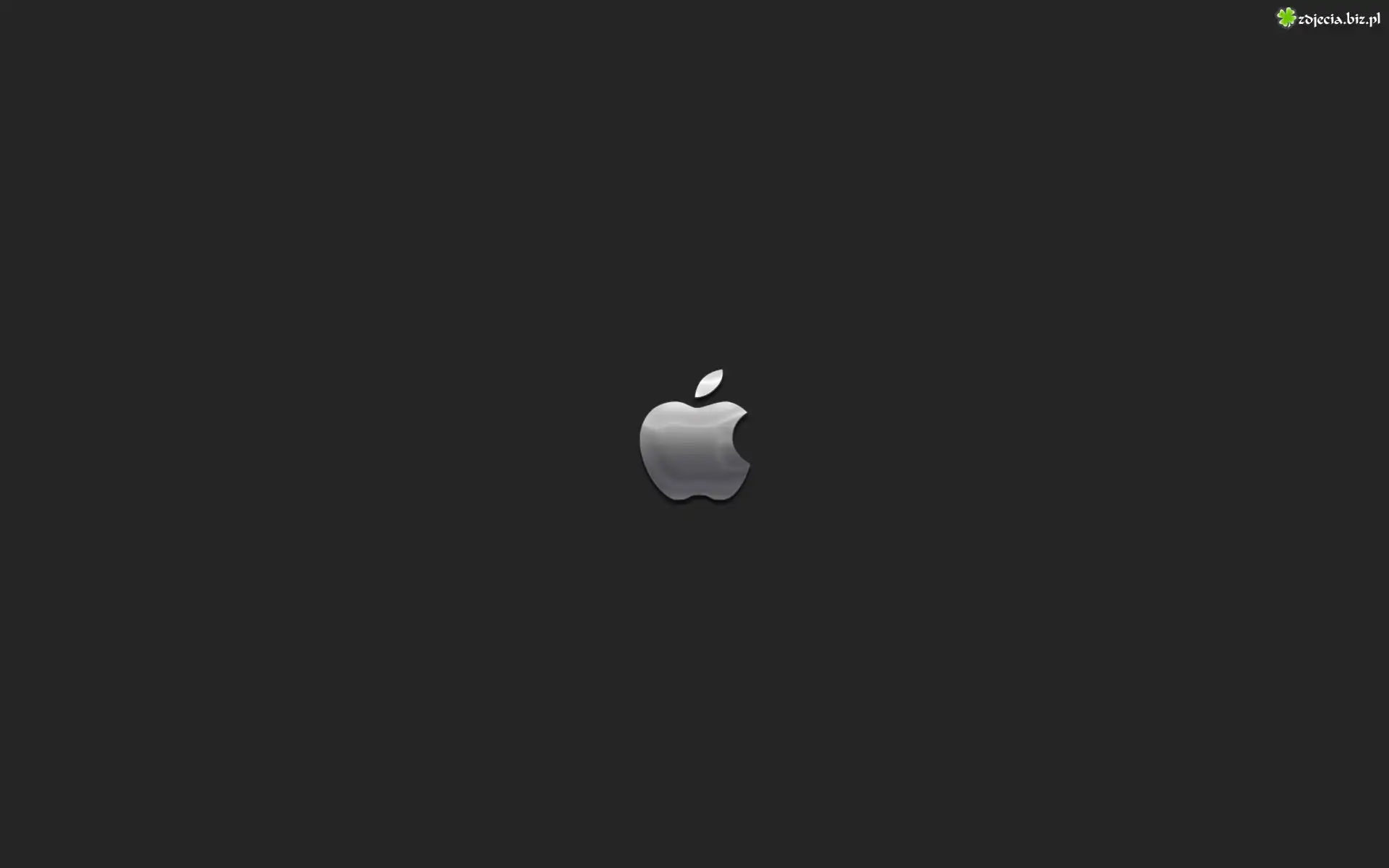 Apple, Stalowoszare, Logo