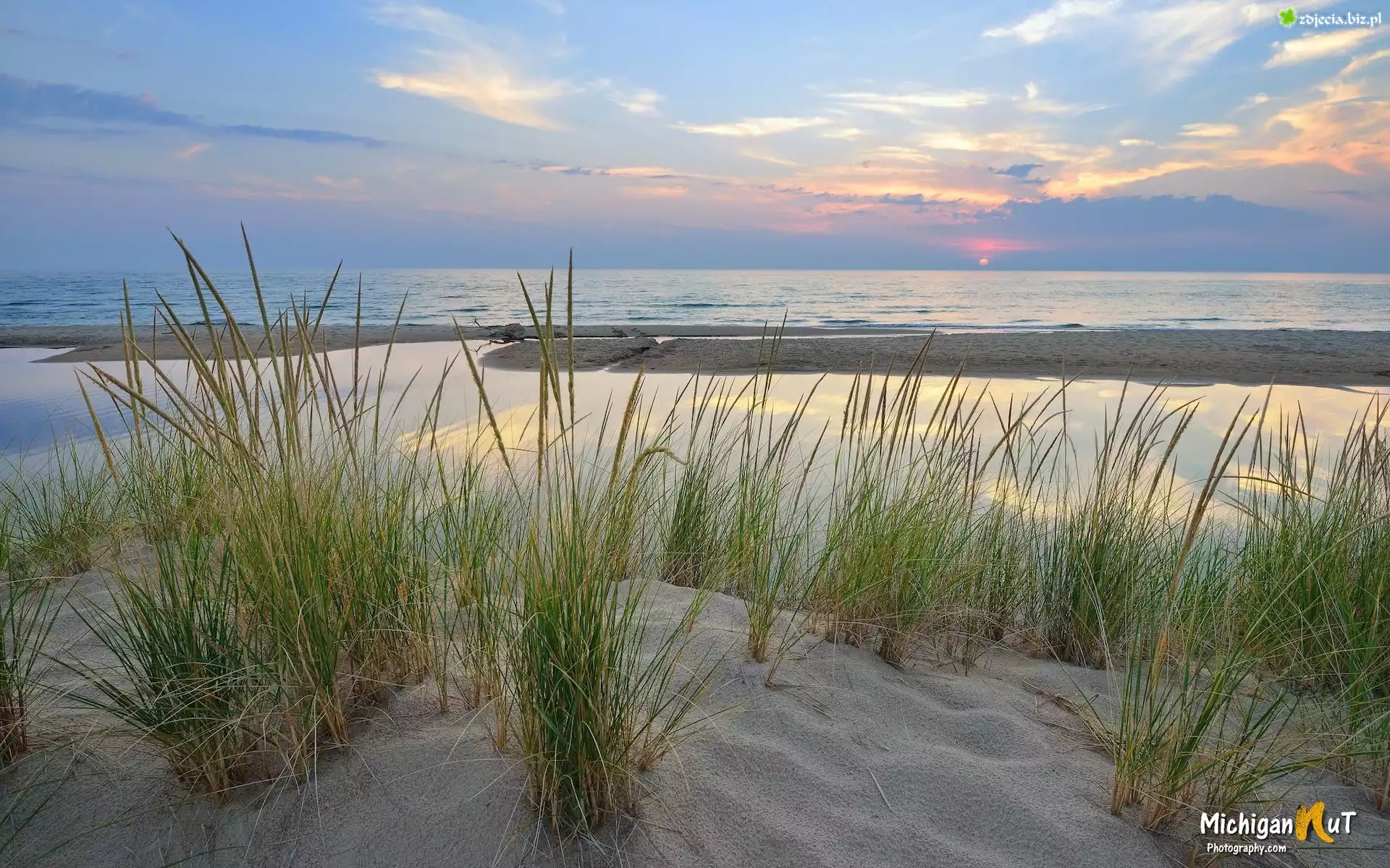 Stany Zjednoczone, Michigan, Jezioro, Lake Michigan, Szuwary, Trawy, Piasek