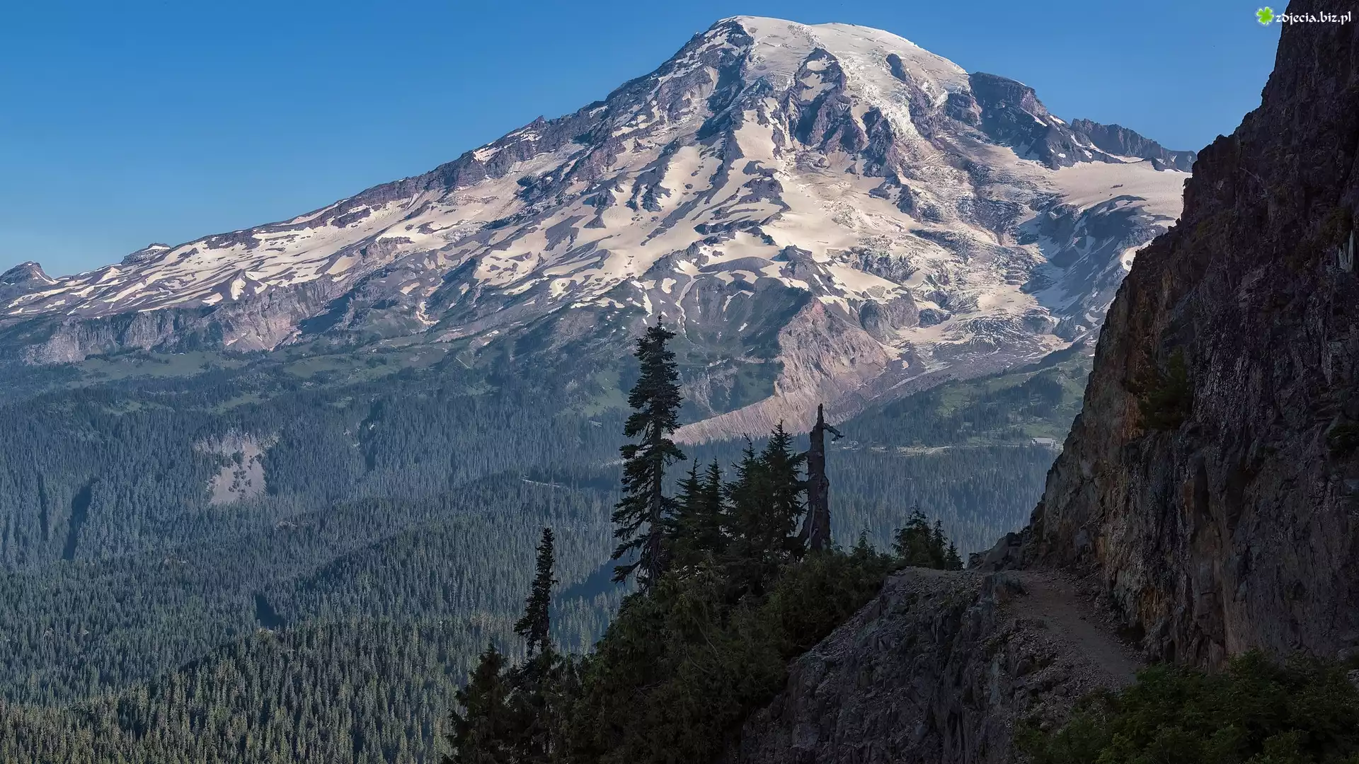 Ośnieżone, Góry, Stratowulkan Mount Rainier, Drzewa, Świerki, Skały, Park Narodowy Mount Rainier, Stan Waszyngton, Stany Zjednoczone