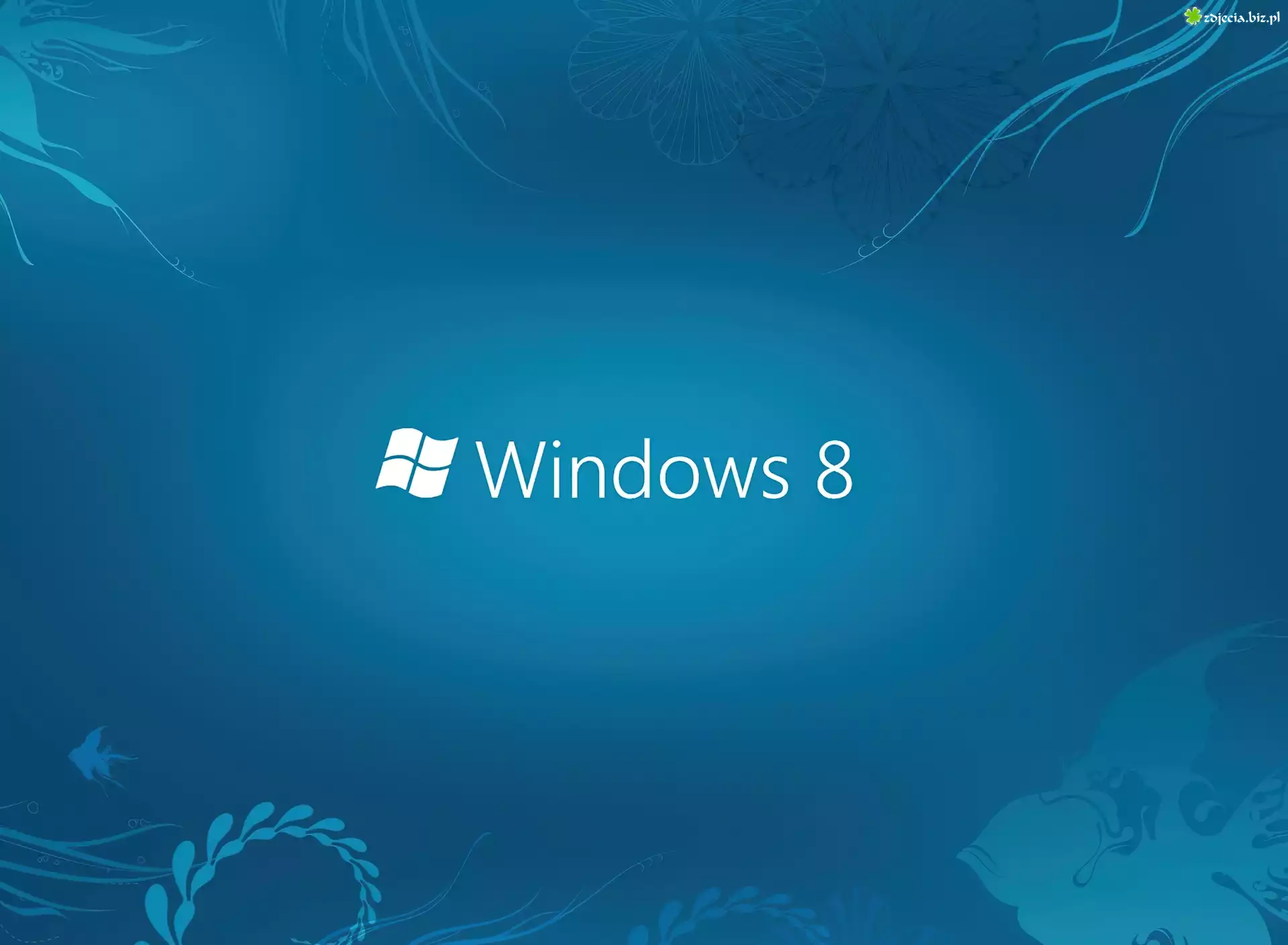 System Operacyjny, Windows Eight