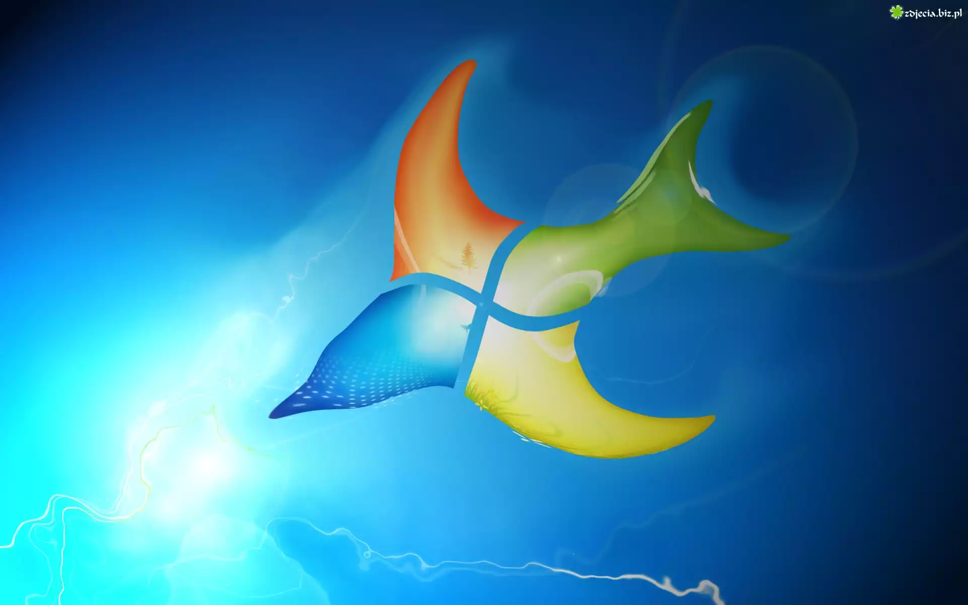 System, Operacyjny, Windows, Ptak