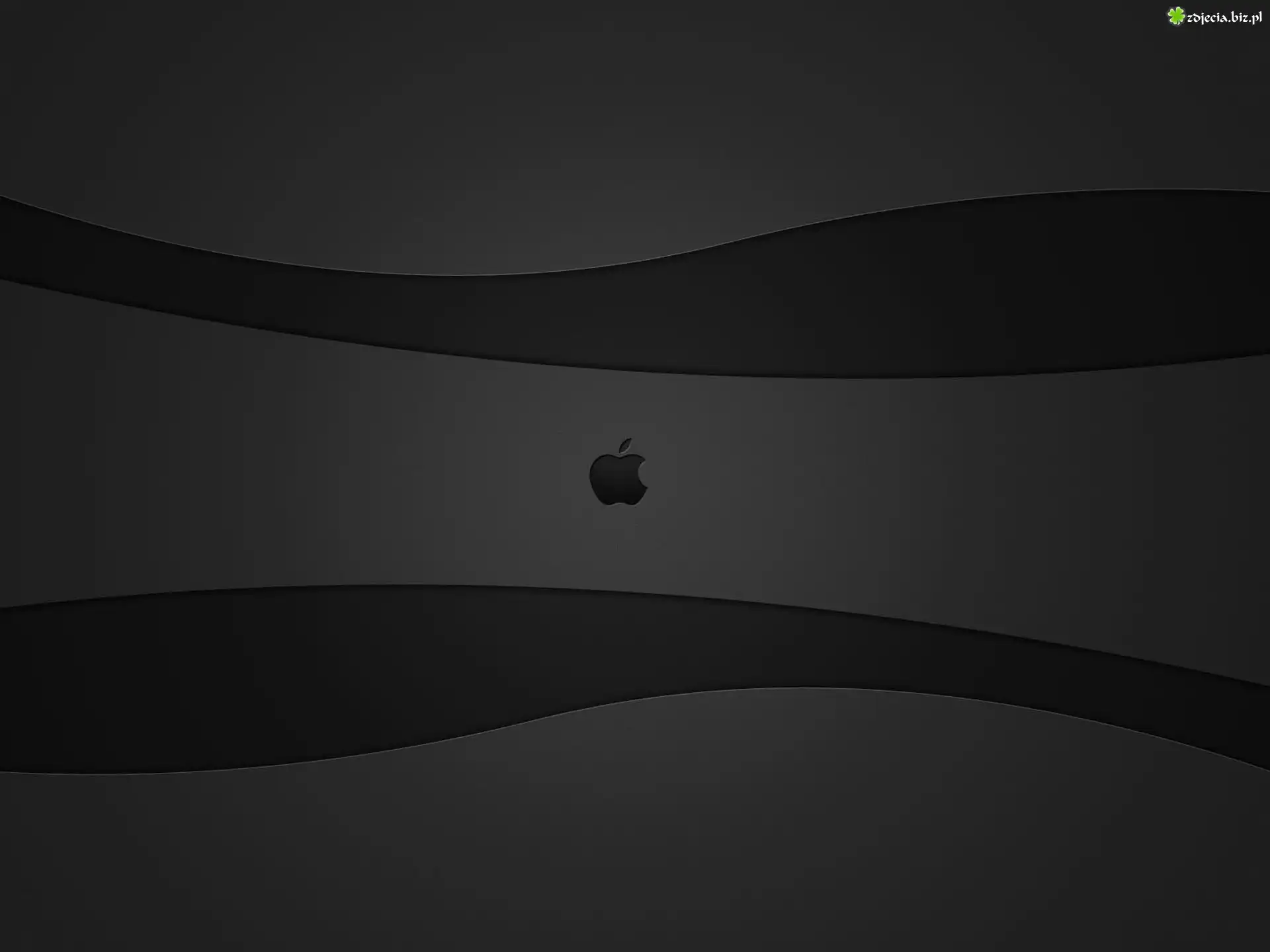 Szare, Logo, Apple, Hardware