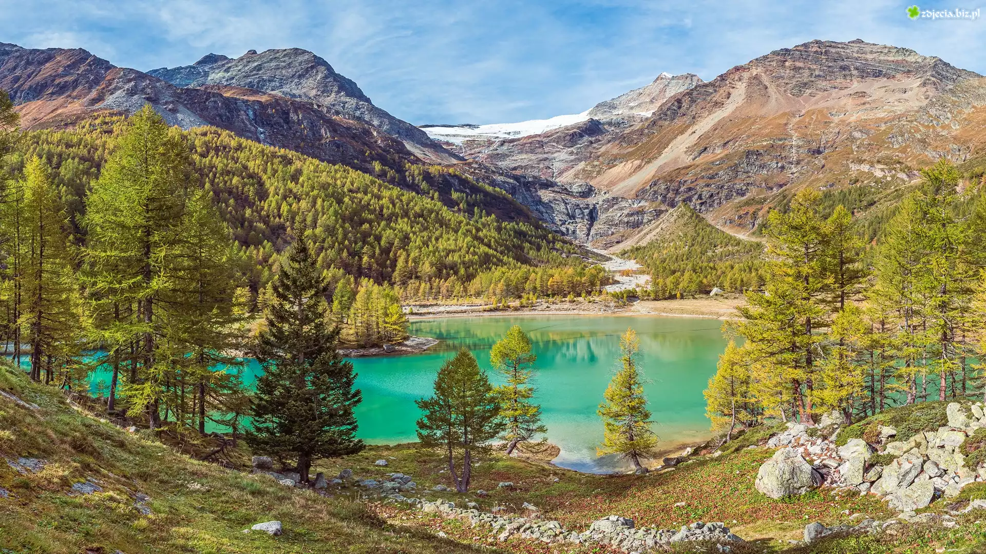 Góry, Las, Drzewa, Jezioro, Palu Lake, Kamienie, Szwajcaria