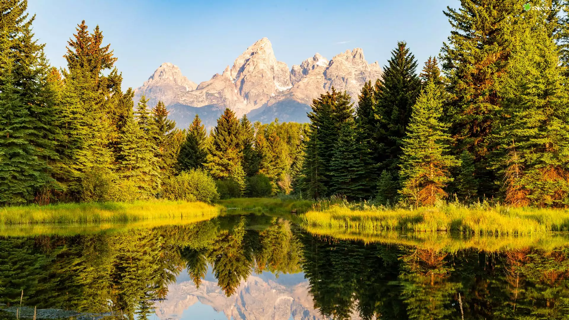 Stany Zjednoczone, Wyoming, Park Narodowy Grand Teton, Góry, Drzewa, Rzeka, Odbicie