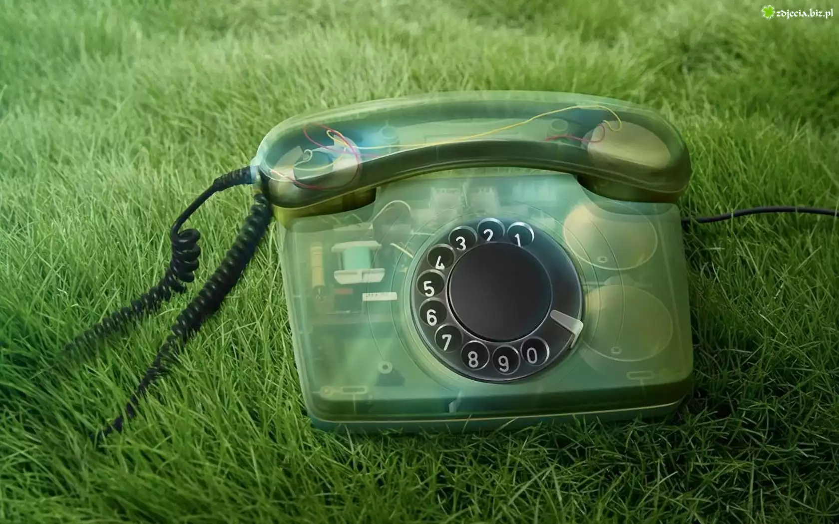 Trawa, Telefon