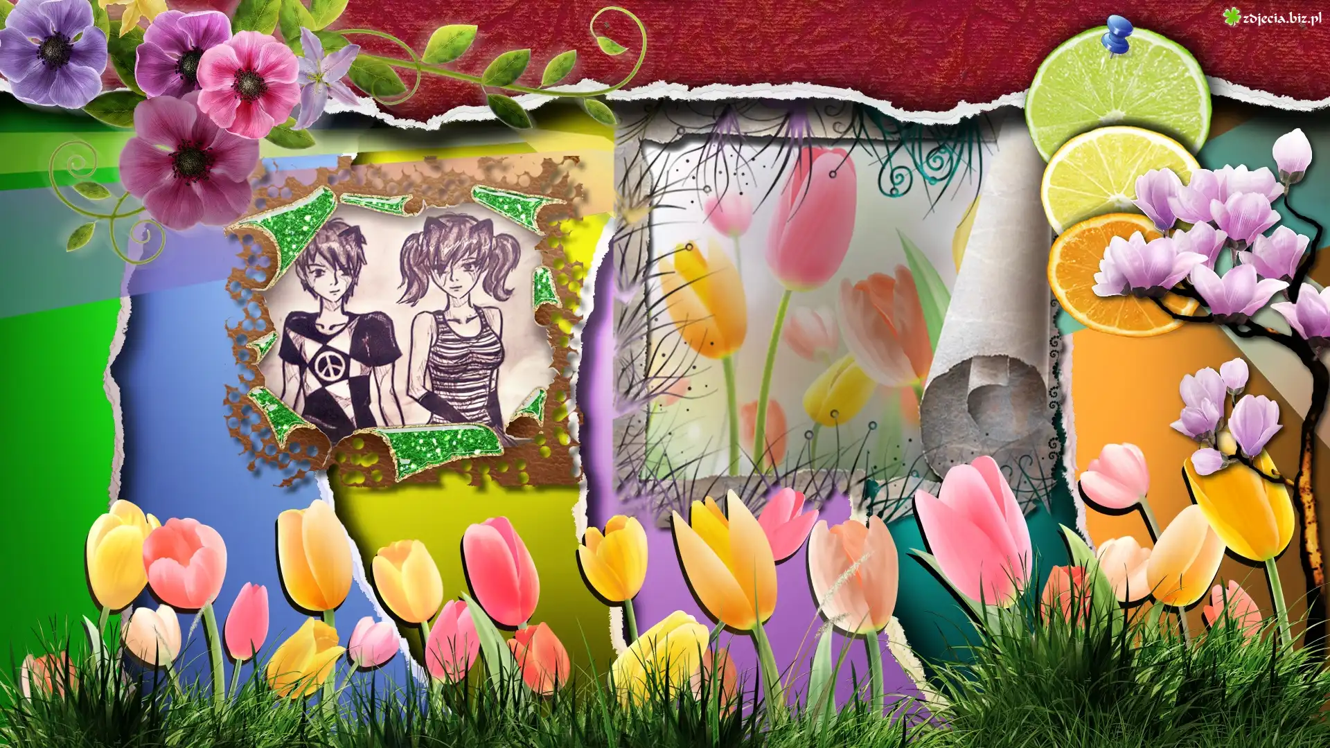 Tulipany, Trawa, Kwiaty, Cytryna, Pomarańcz