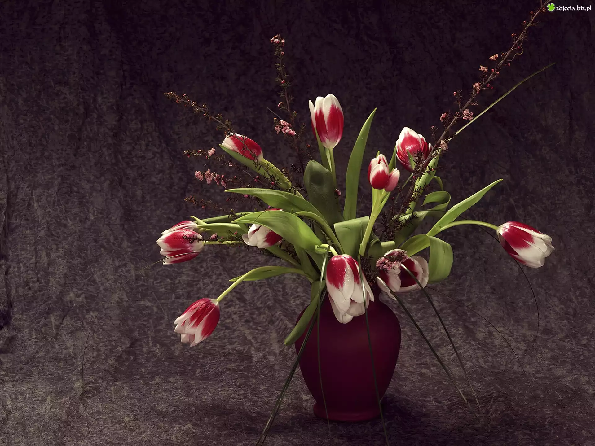 Wazon, Tulipany, Przybranie