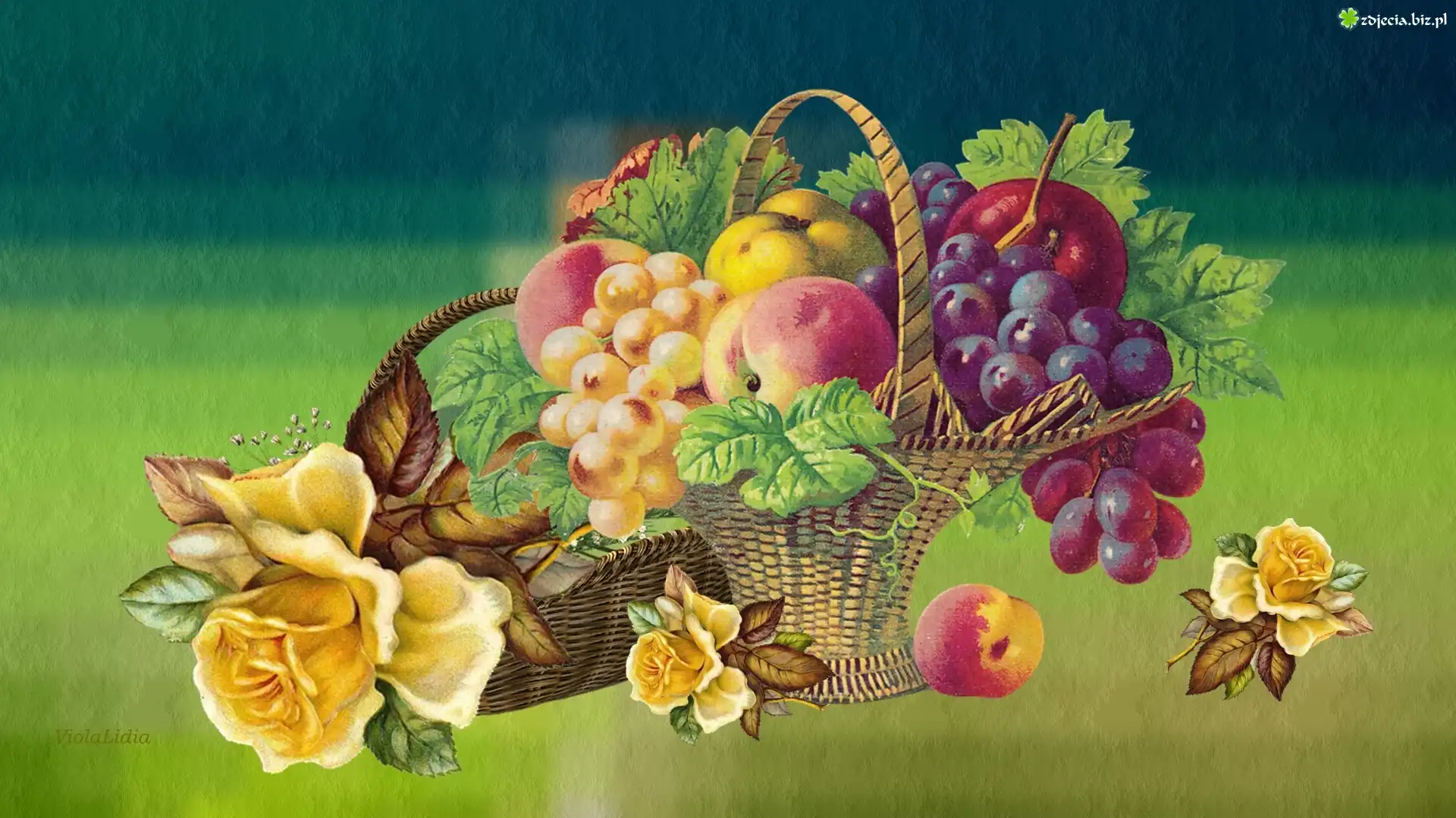Grafika, Vintage, Kosz, Owoce, Winogrona, Brzoskwinie, Kwiaty, Róże