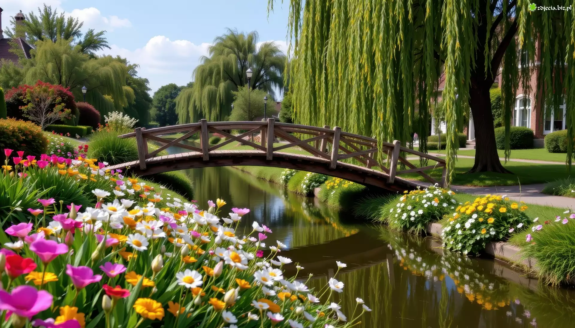 Strumień, Kwiaty, Mostek, Wierzba płacząca, Park