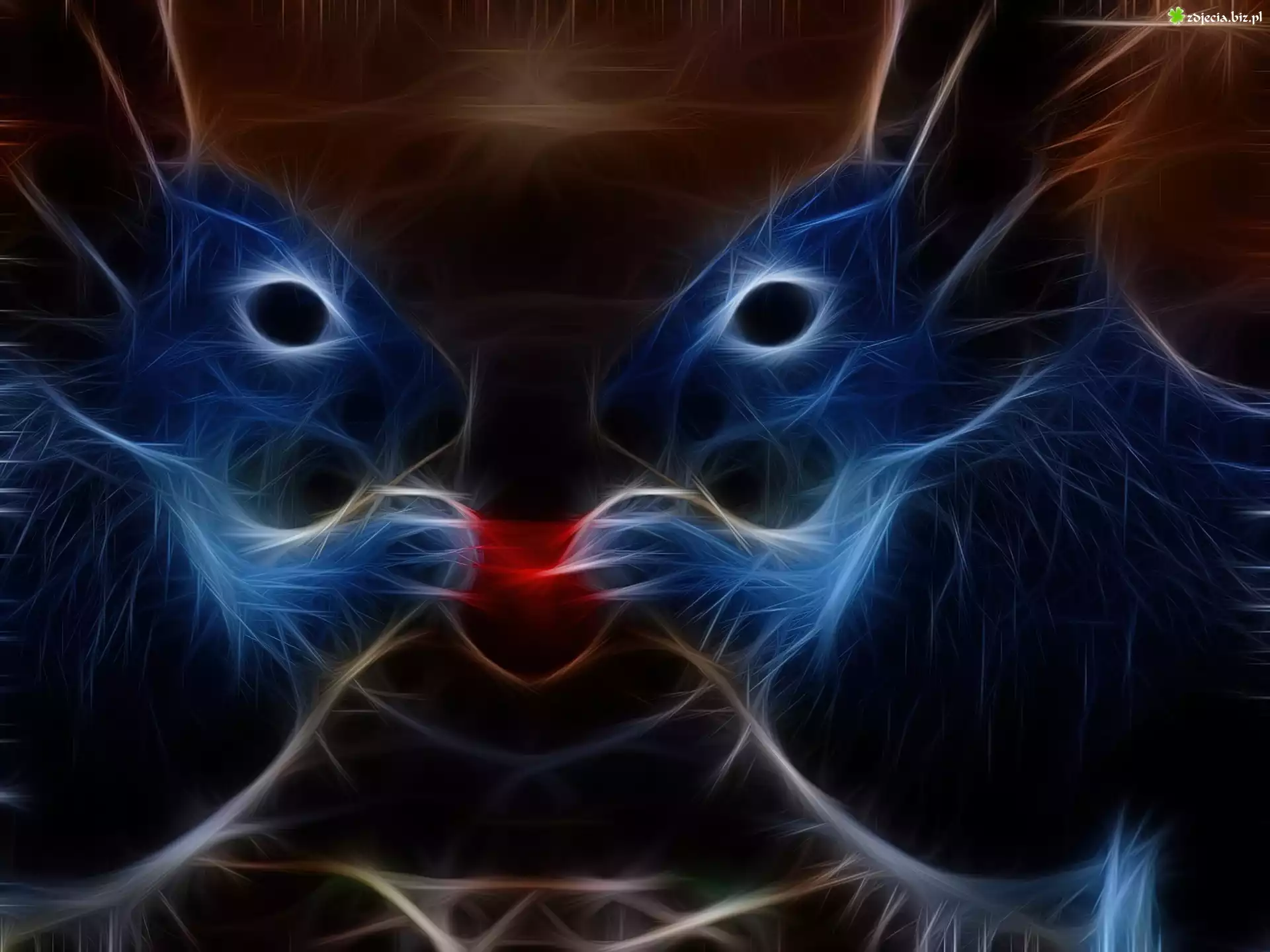 Fractalius, Wiewiórki, Serce