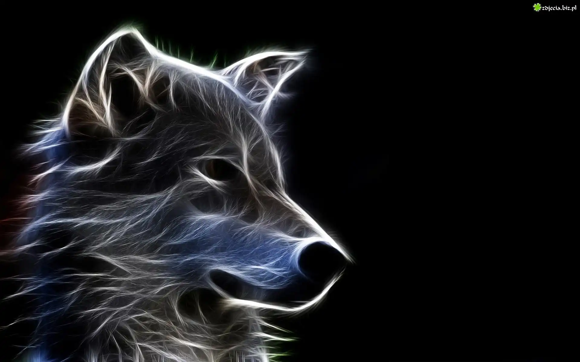 Wilk, Fractalius