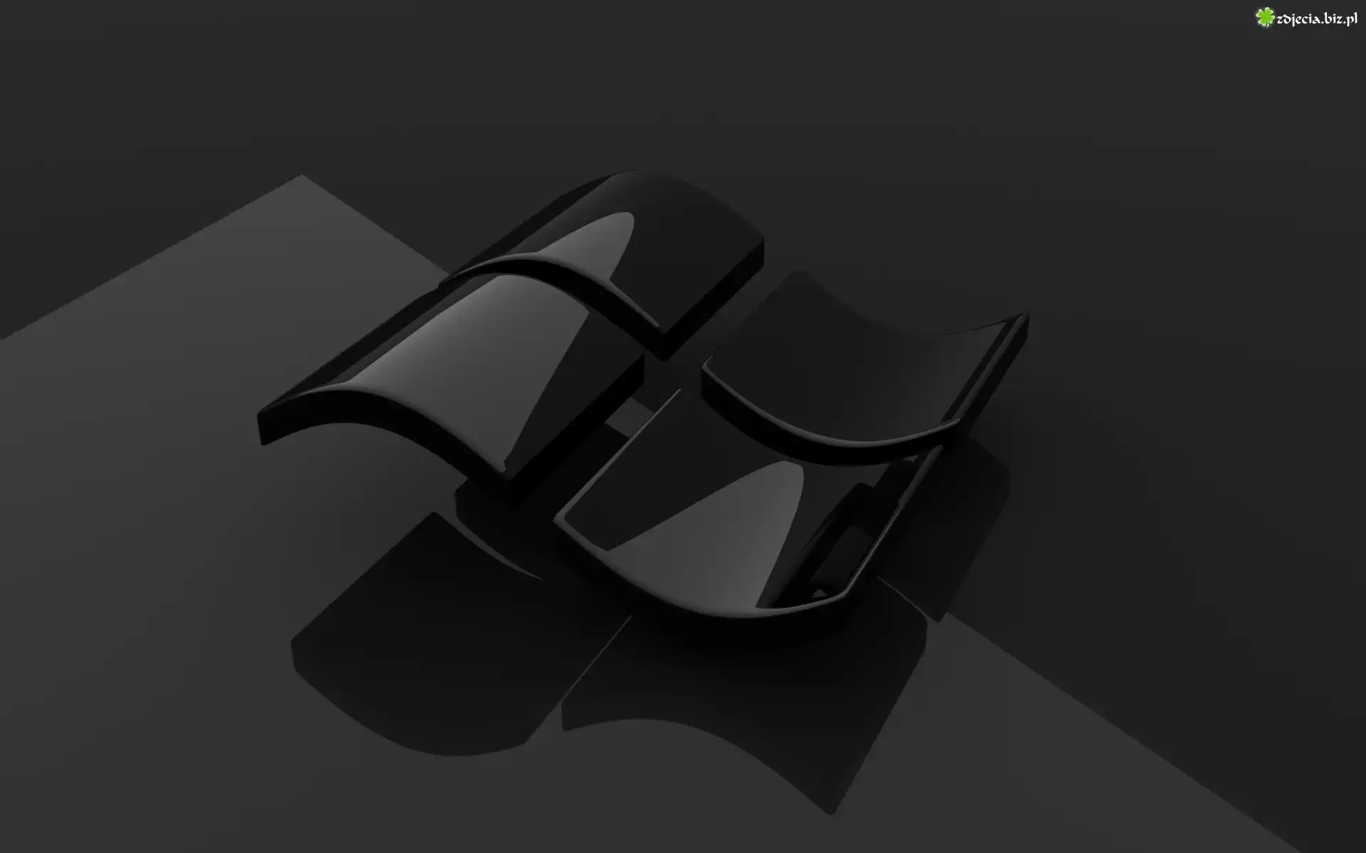 Windows, Logo