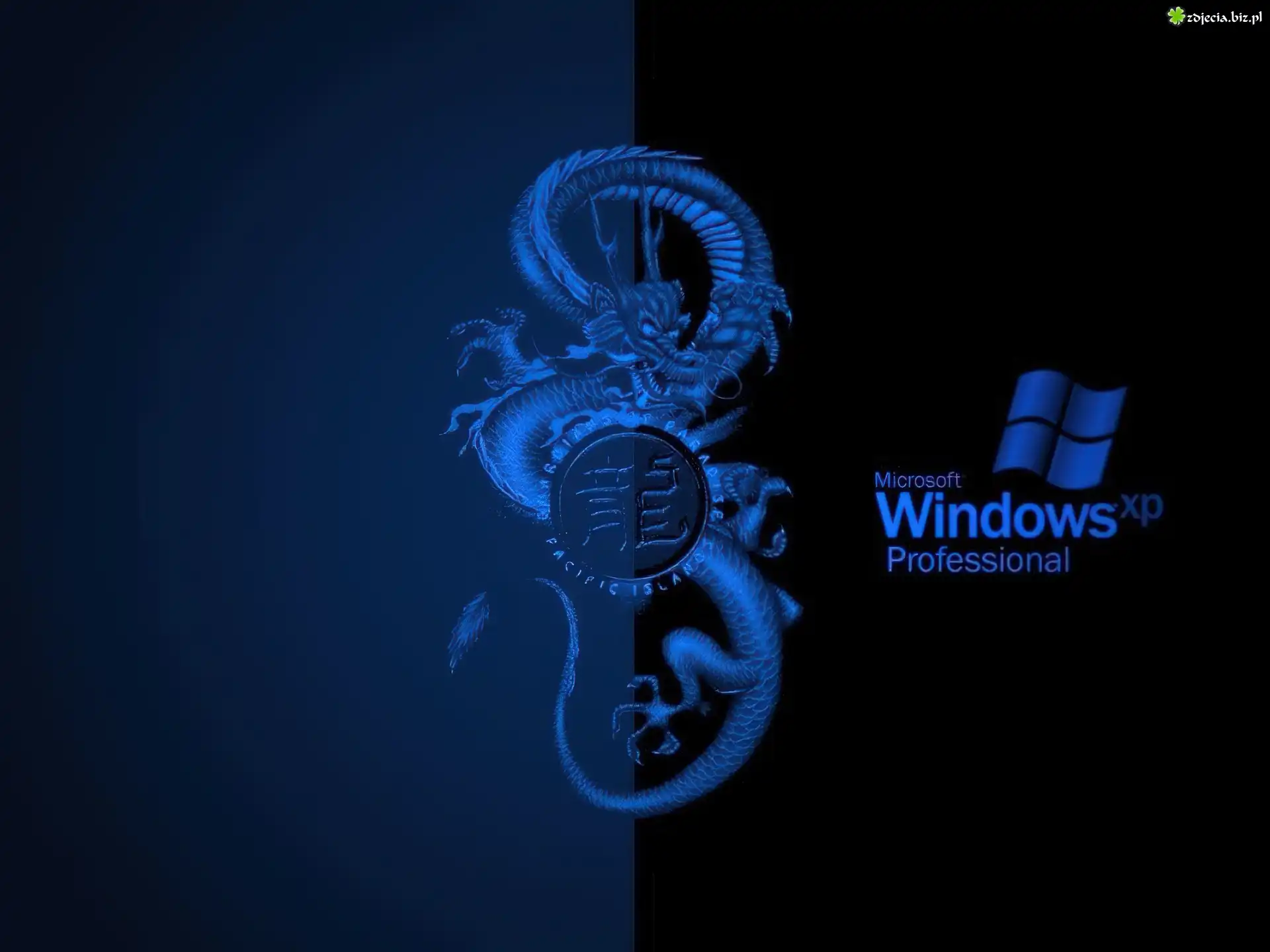 Windows XP