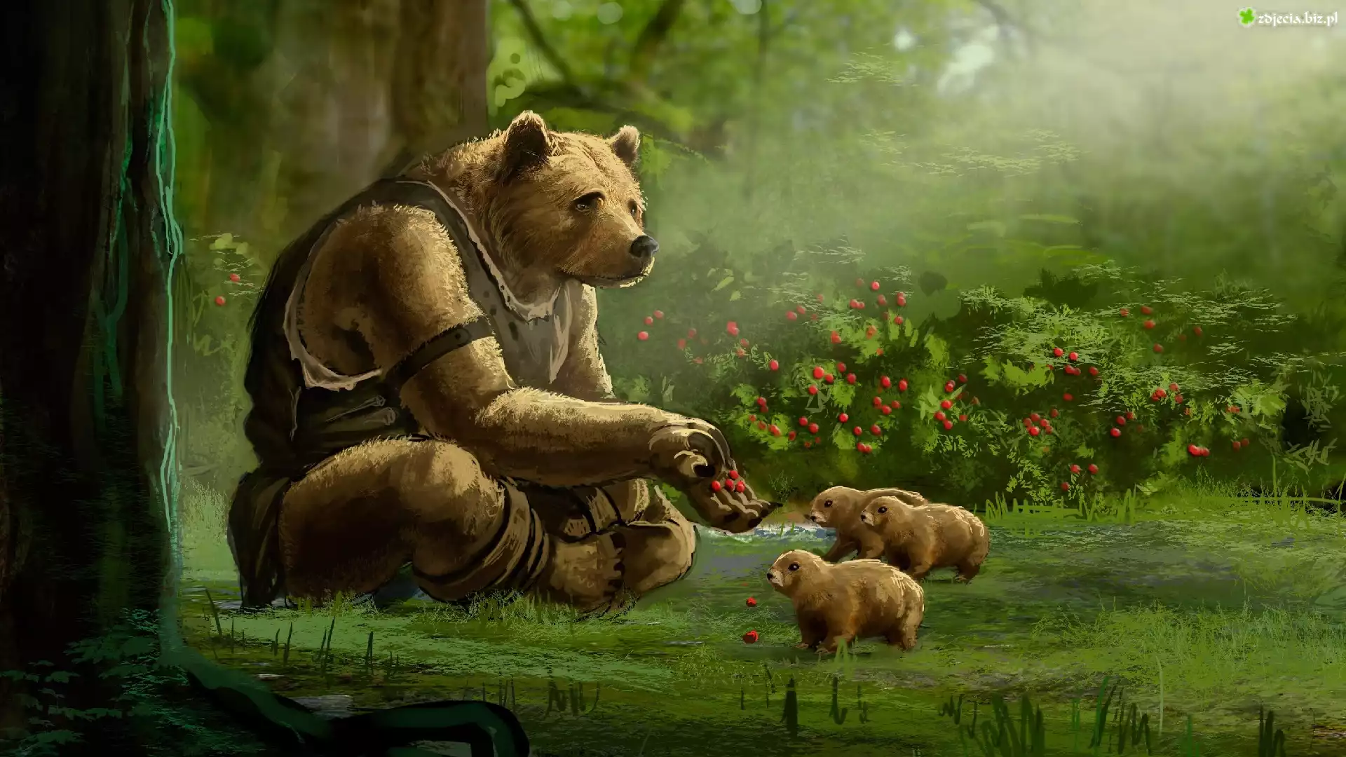 Niedźwiedzie, Witanlore: Dreamtime