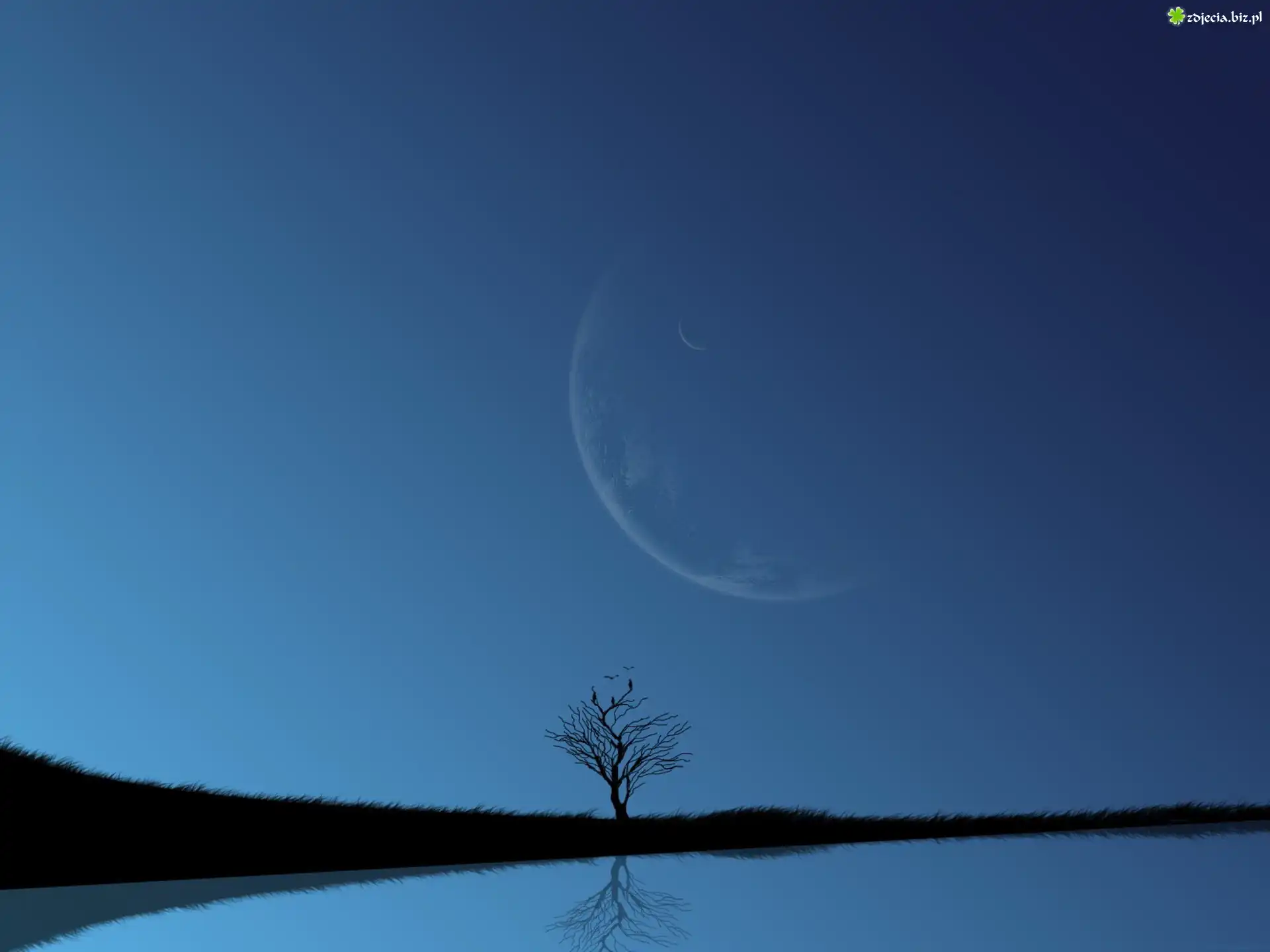 Woda, Niebo, Księżyc, Drzewo