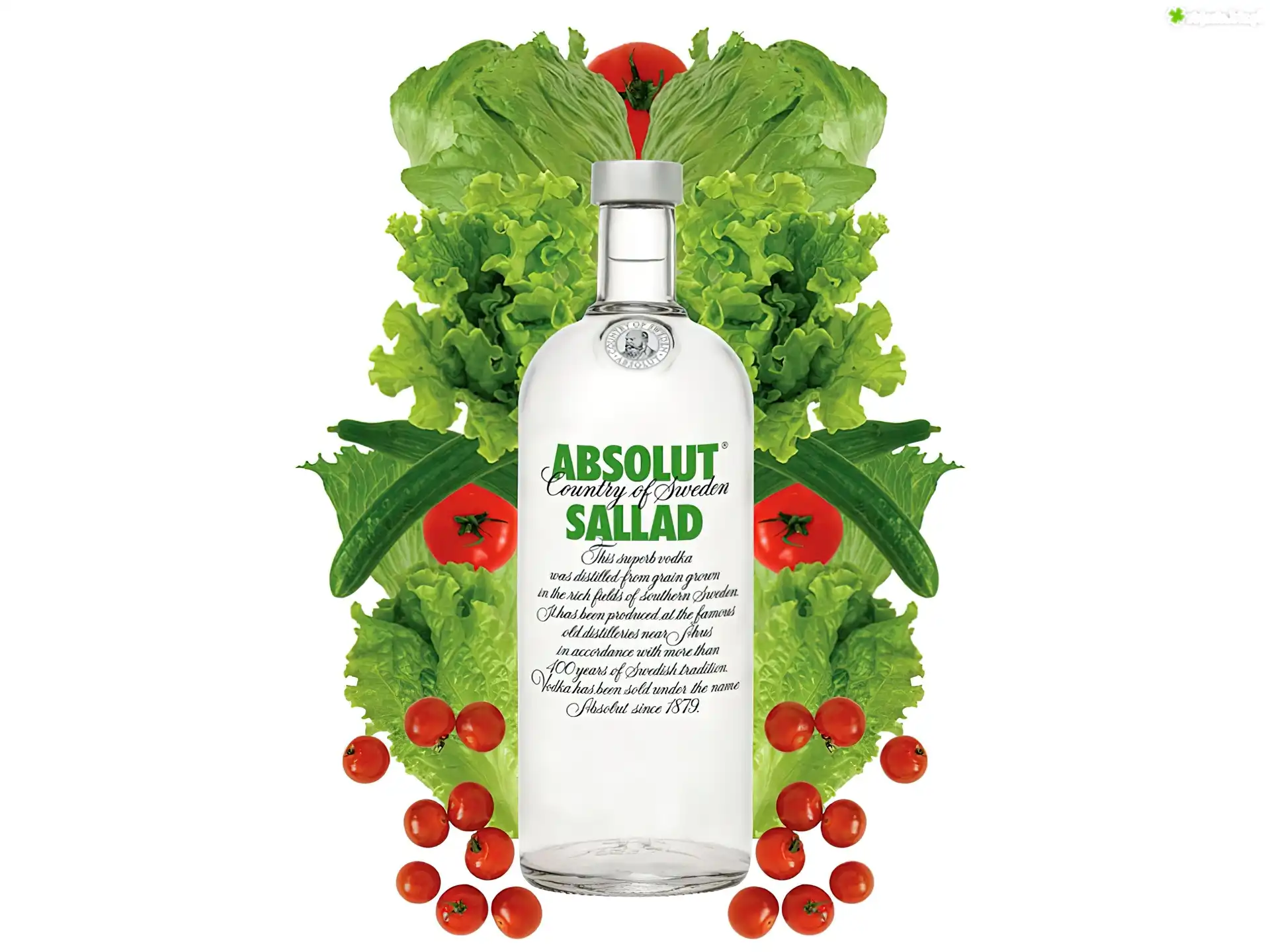 Wódka, Absolut, Sallad, Ogórki