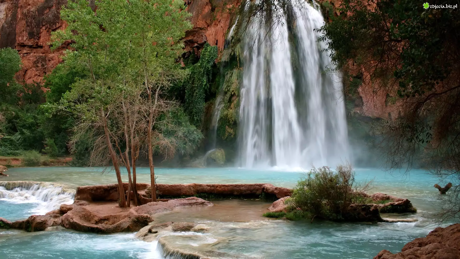 Wodospad, Havasu, Drzewa, Skały, Arizona