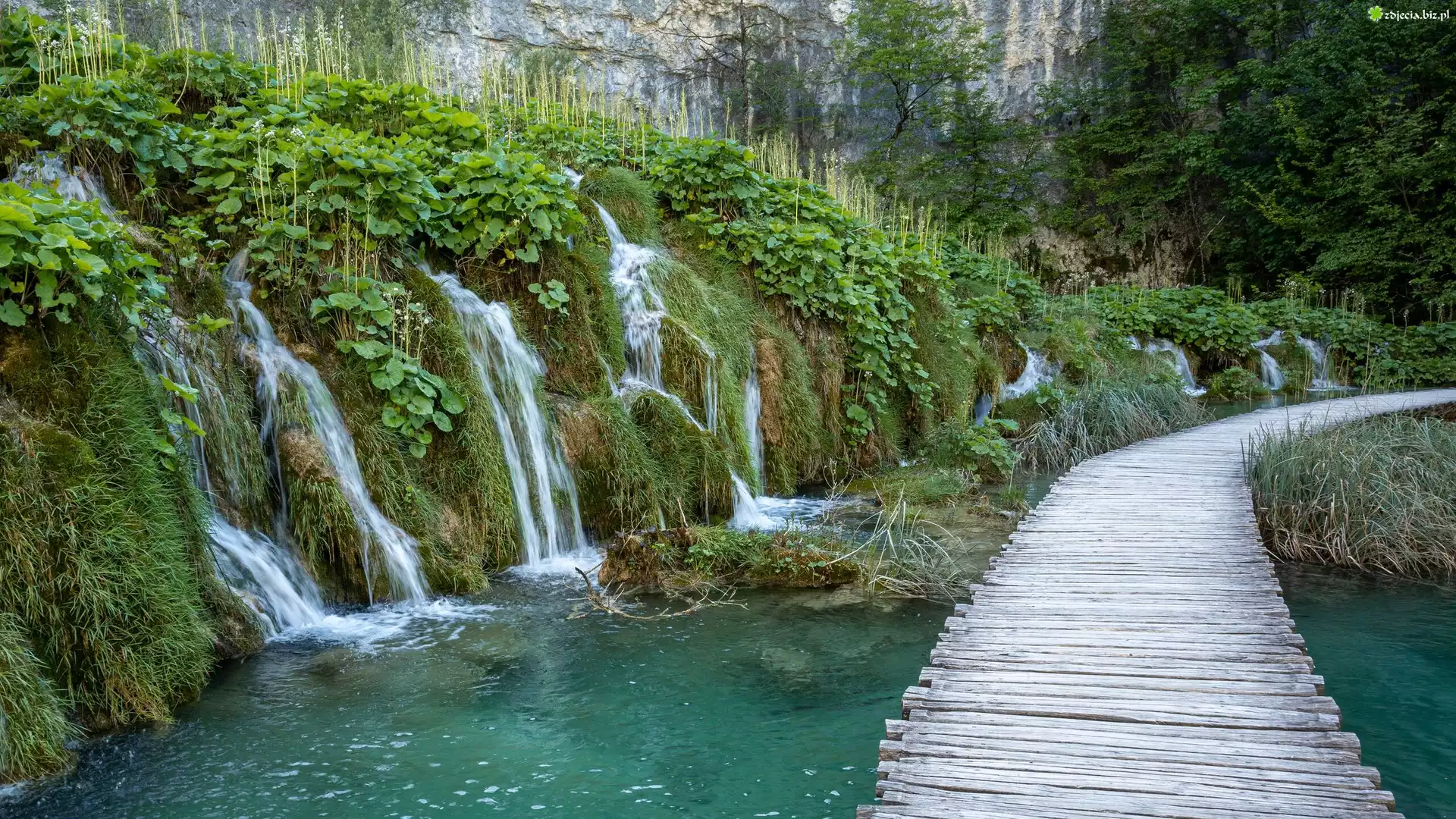 Chorwacja, Plitwice, Park Narodowy Jezior Plitwickich, Wodospady, Rzeka, Pomost