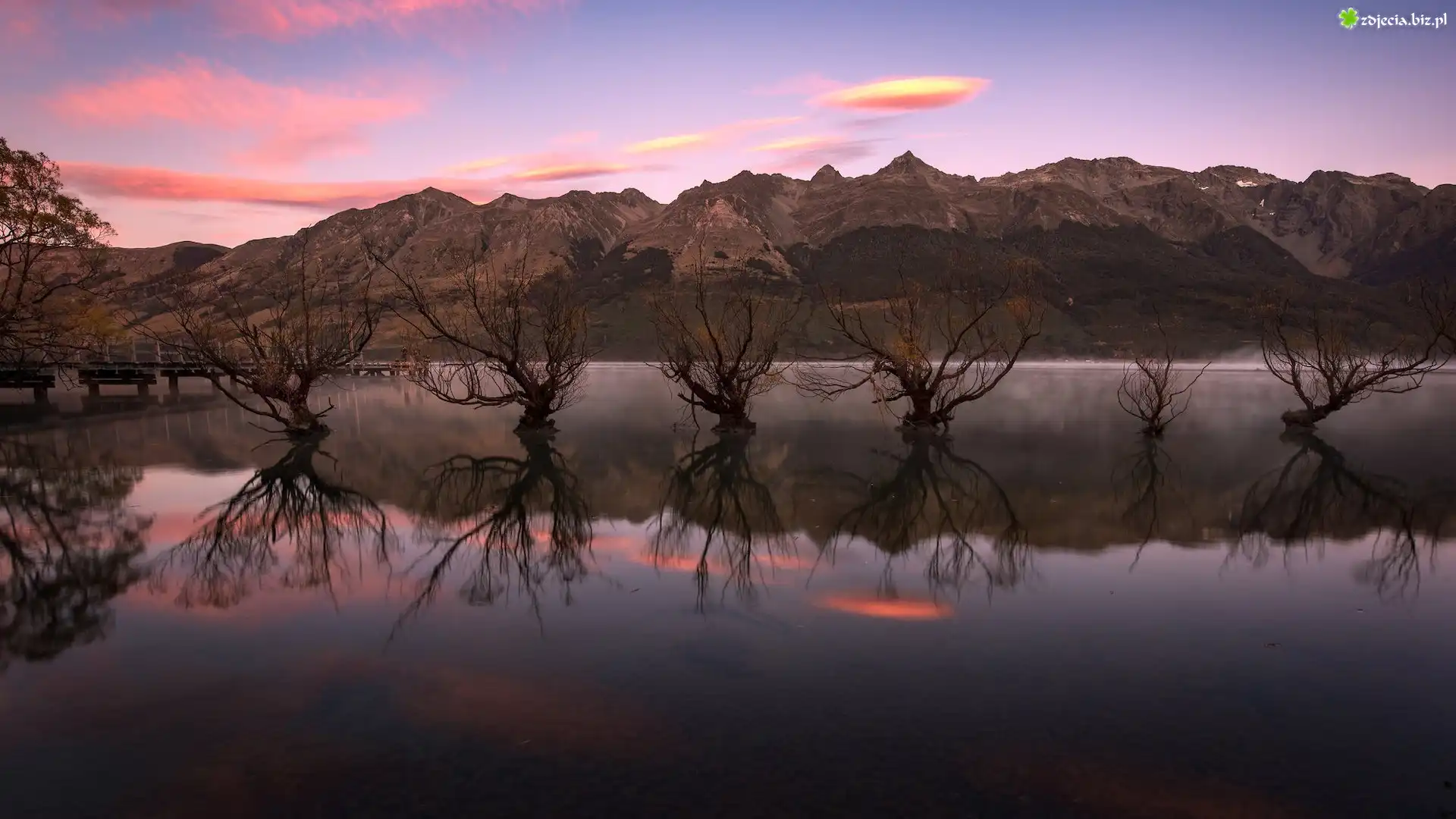 Wschód słońca, Jezioro, Wakatipu, Jesień, Rząd, Drzewa, Wierzby, Odbicie, Glenorchy, Queenstown, Nowa Zelandia
