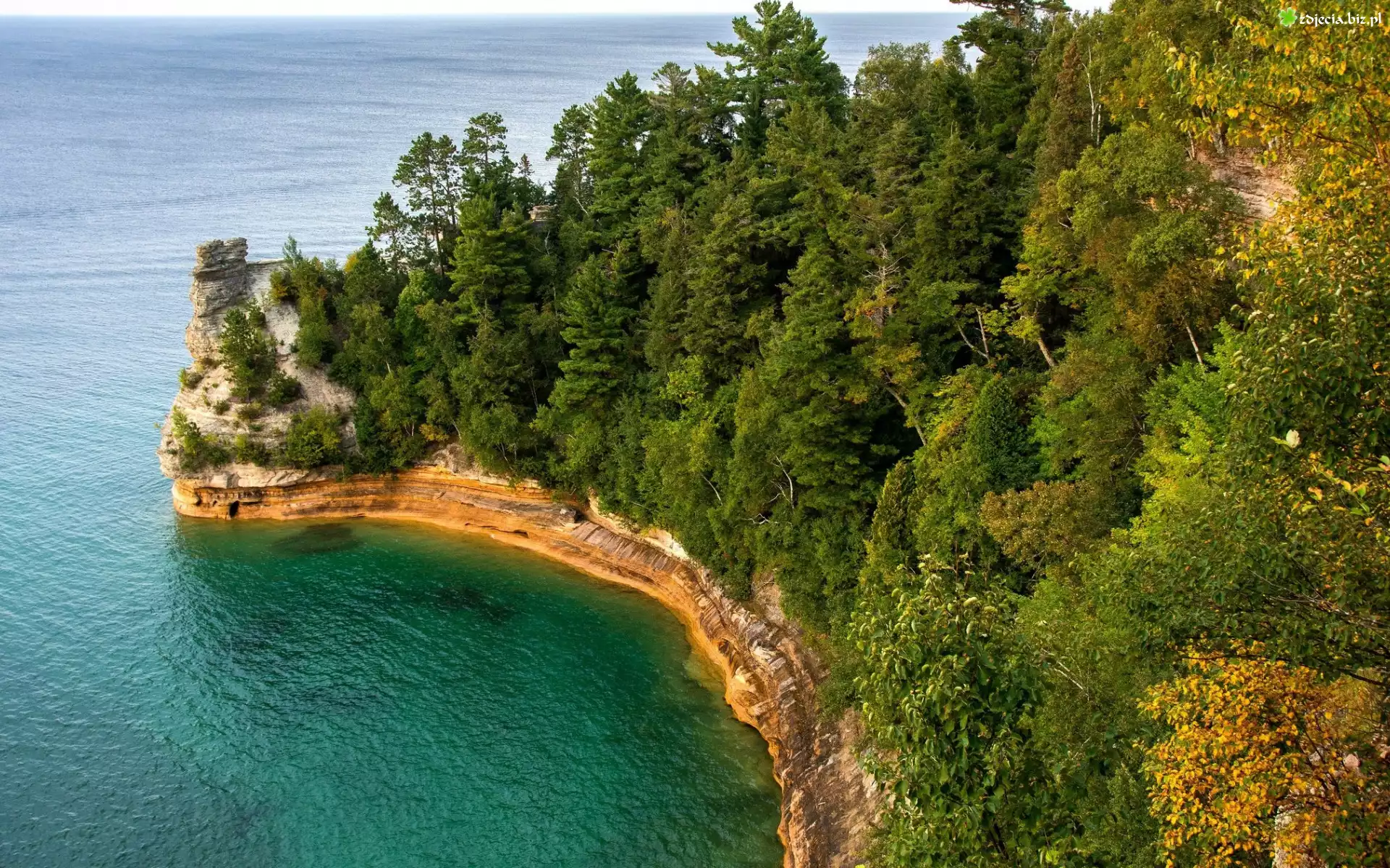 Wybrzeże, Skały, Miners Castle Rock, Las, Drzewa, Jezioro Superior, Park Narodowy Pictured Rocks National Lakeshore, Stan Michigan, Stany Zjednoczone