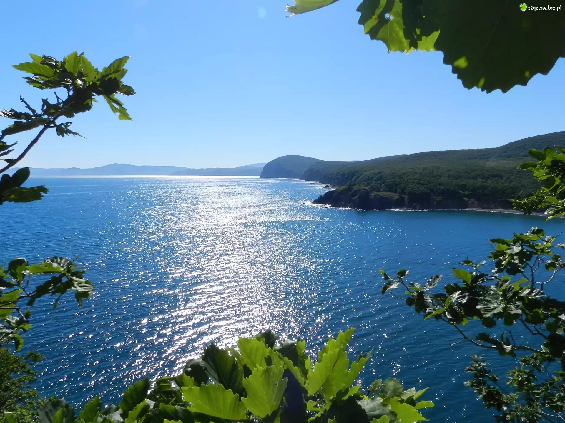 Jezioro, Wzgórza, Liście
