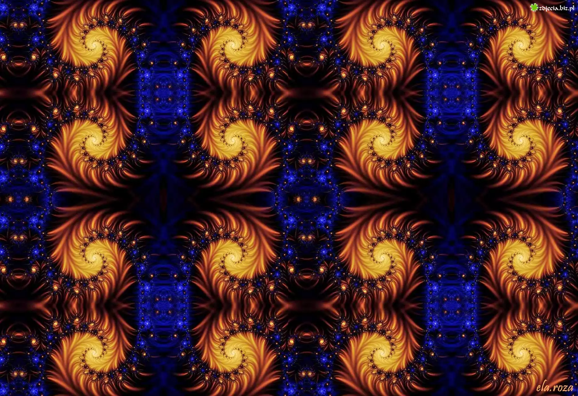 Spiralne, Wzory, Fraktale