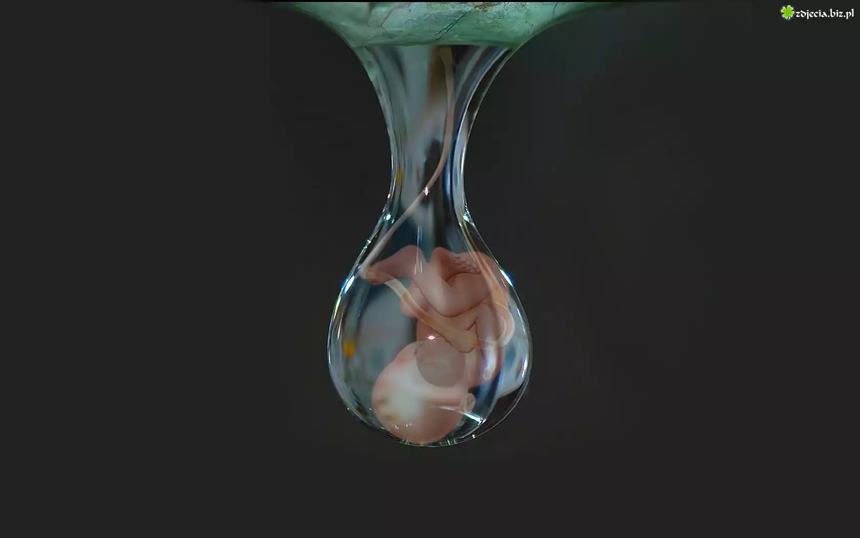Kropla, Życia, Dziecko